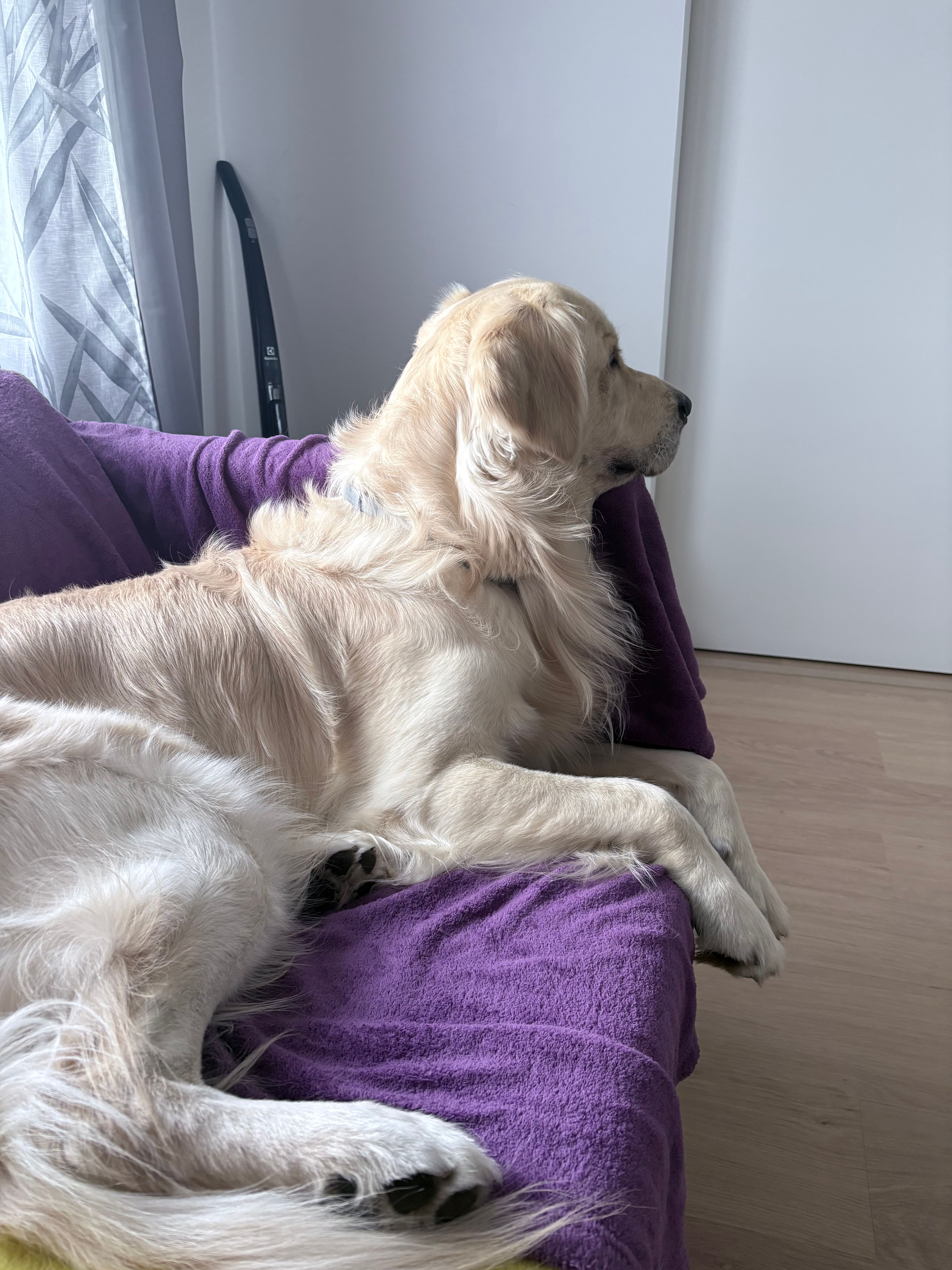 image-41