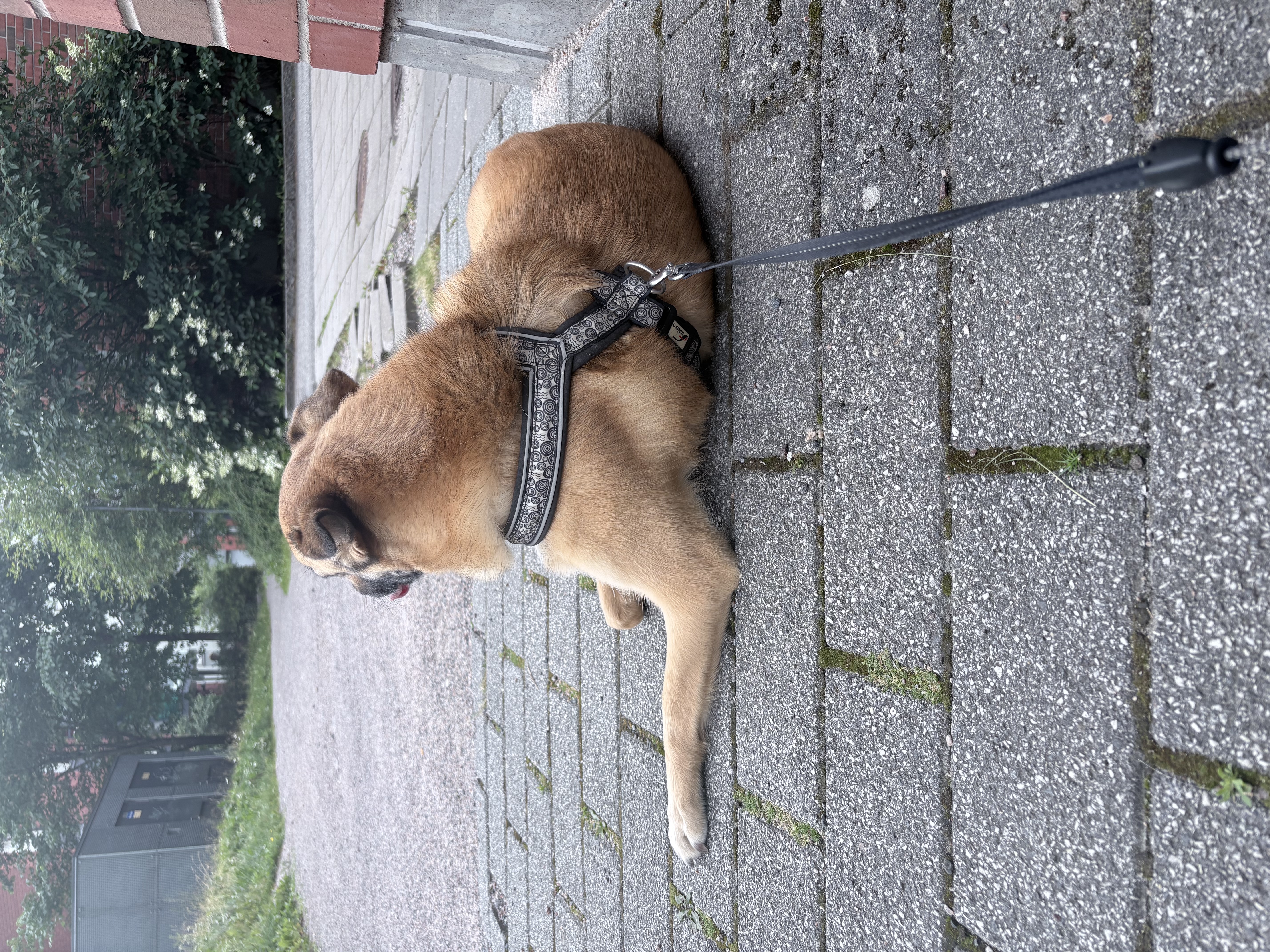 image-51