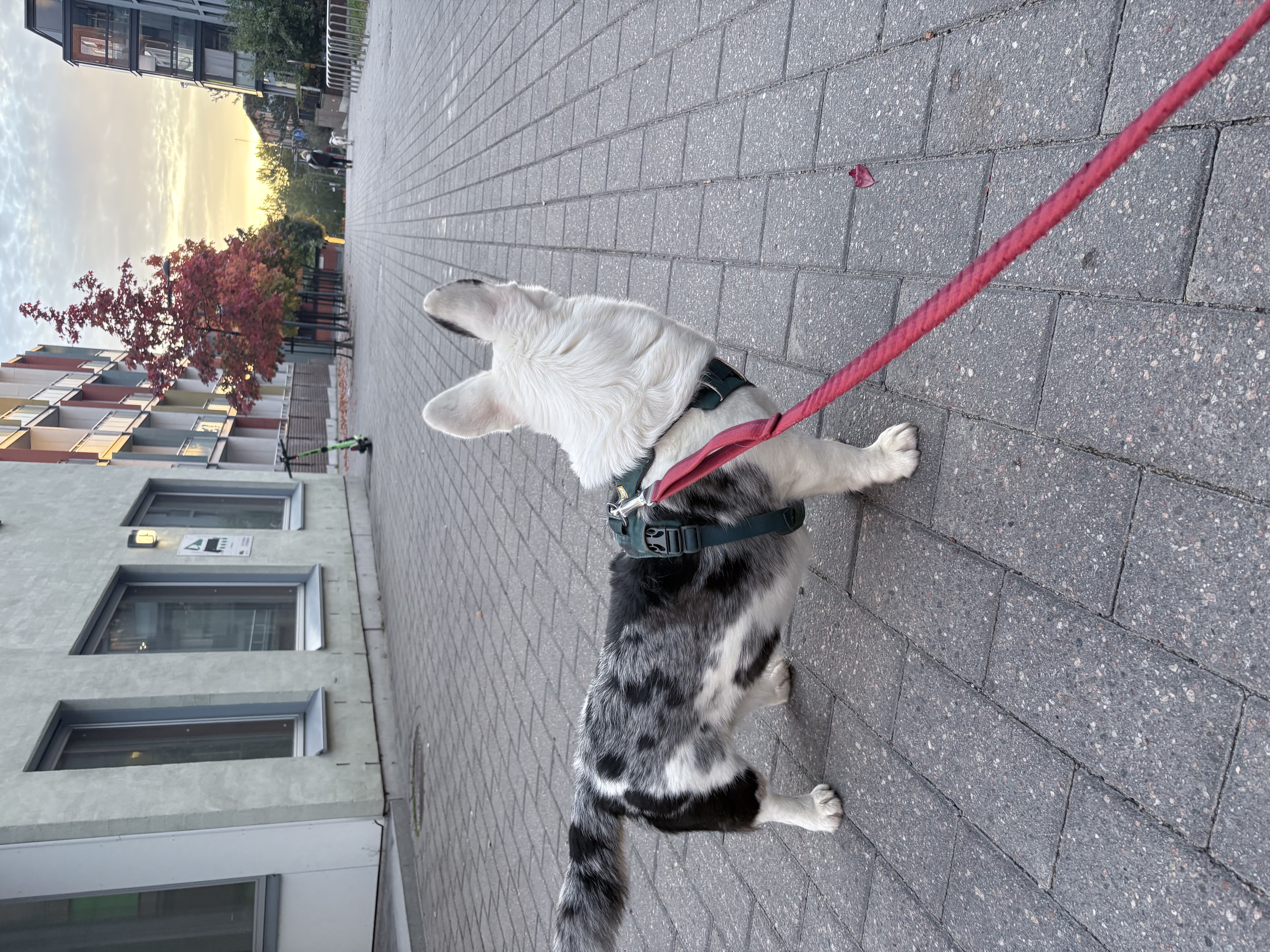 image-59