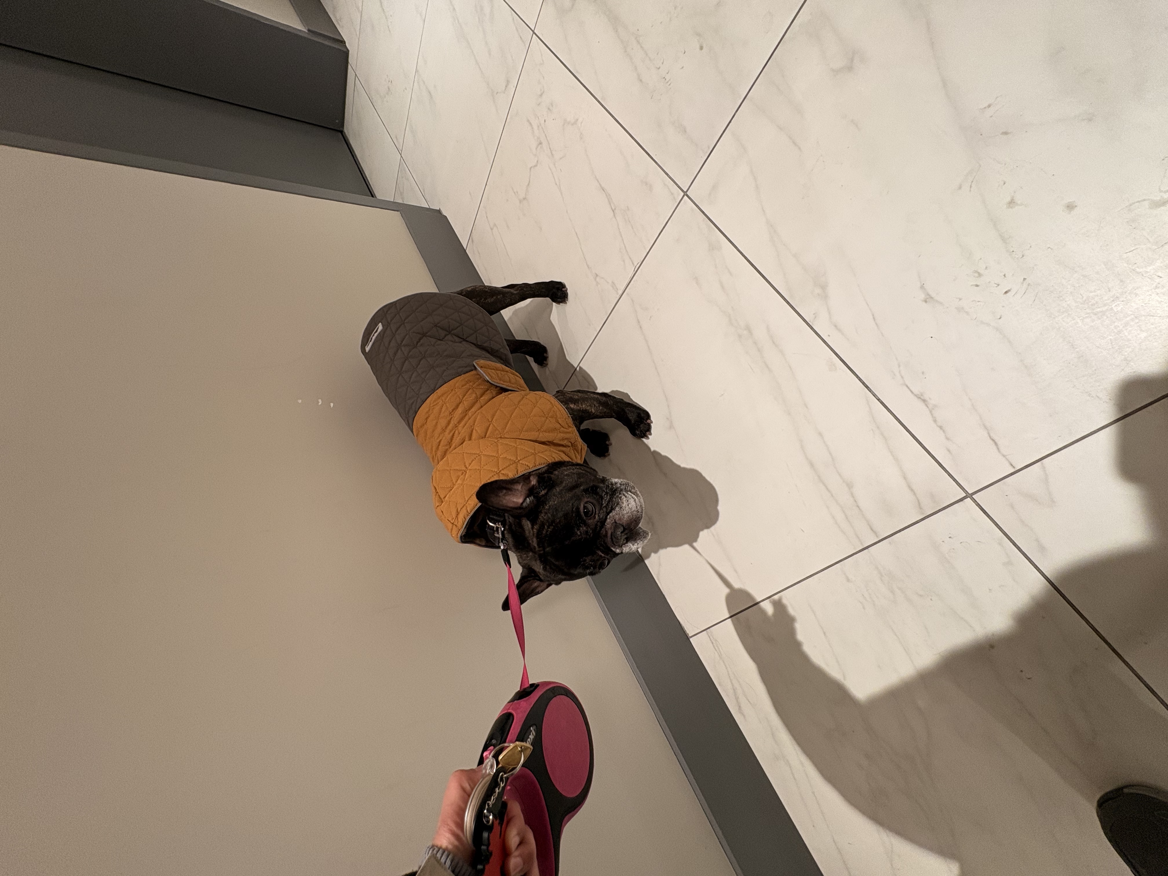 image-17