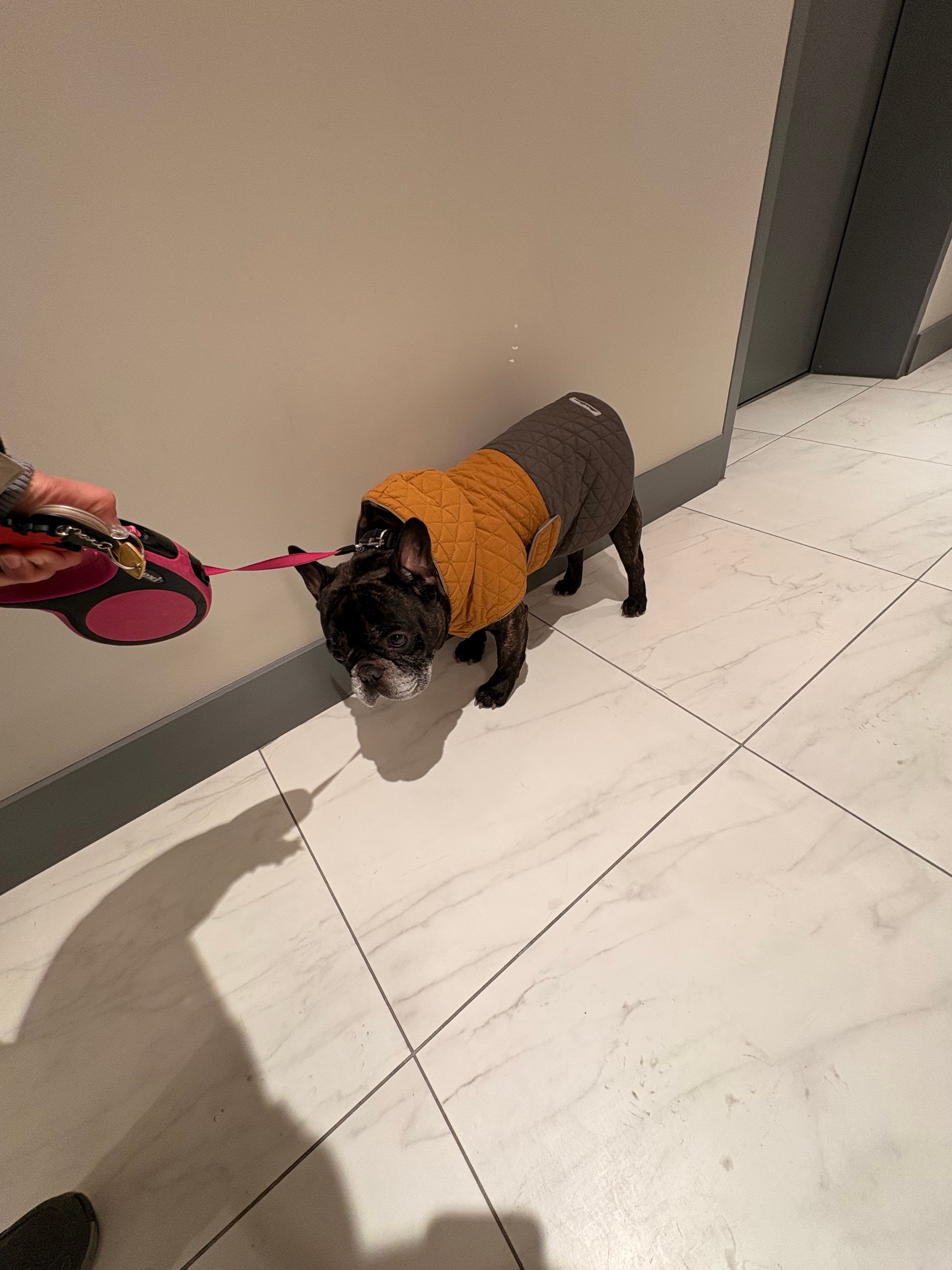 image-17