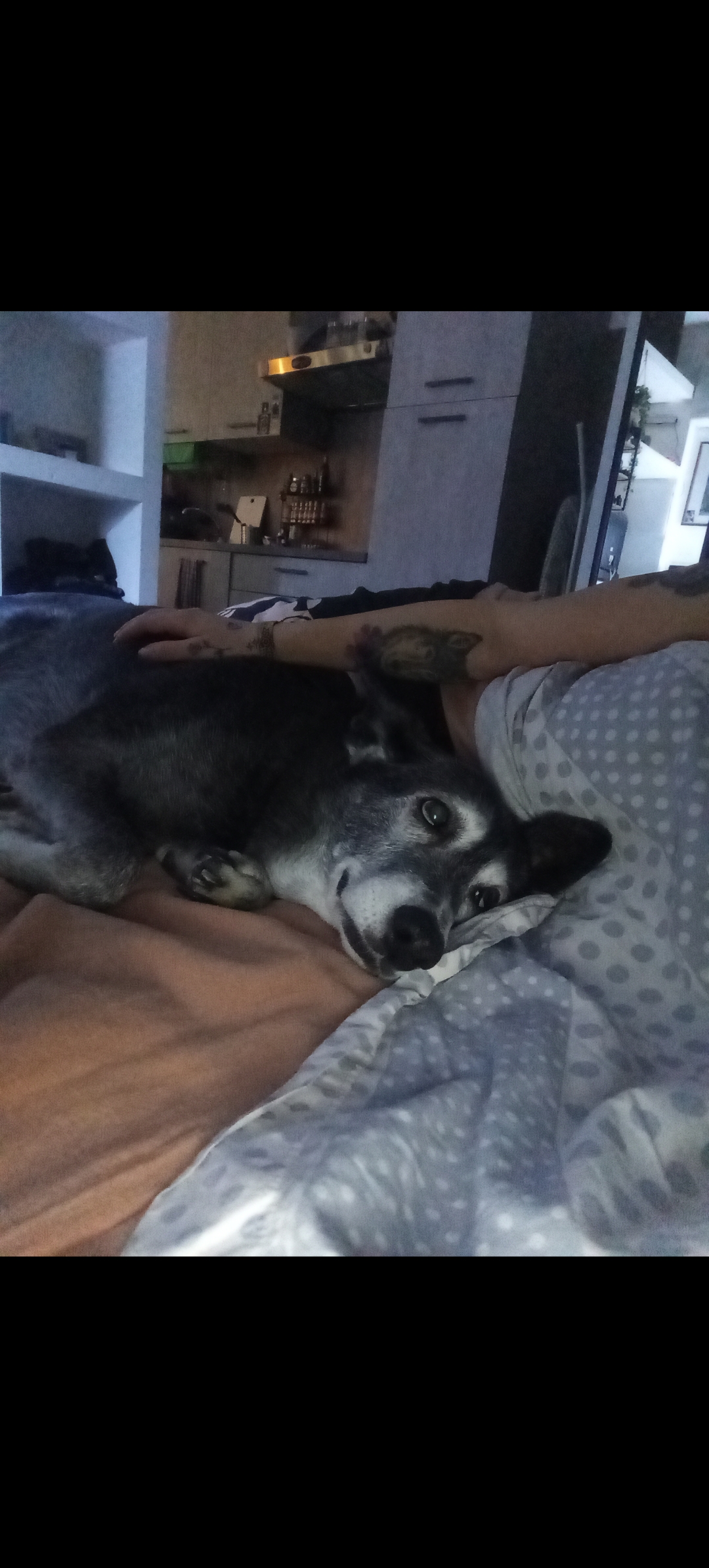 image-5
