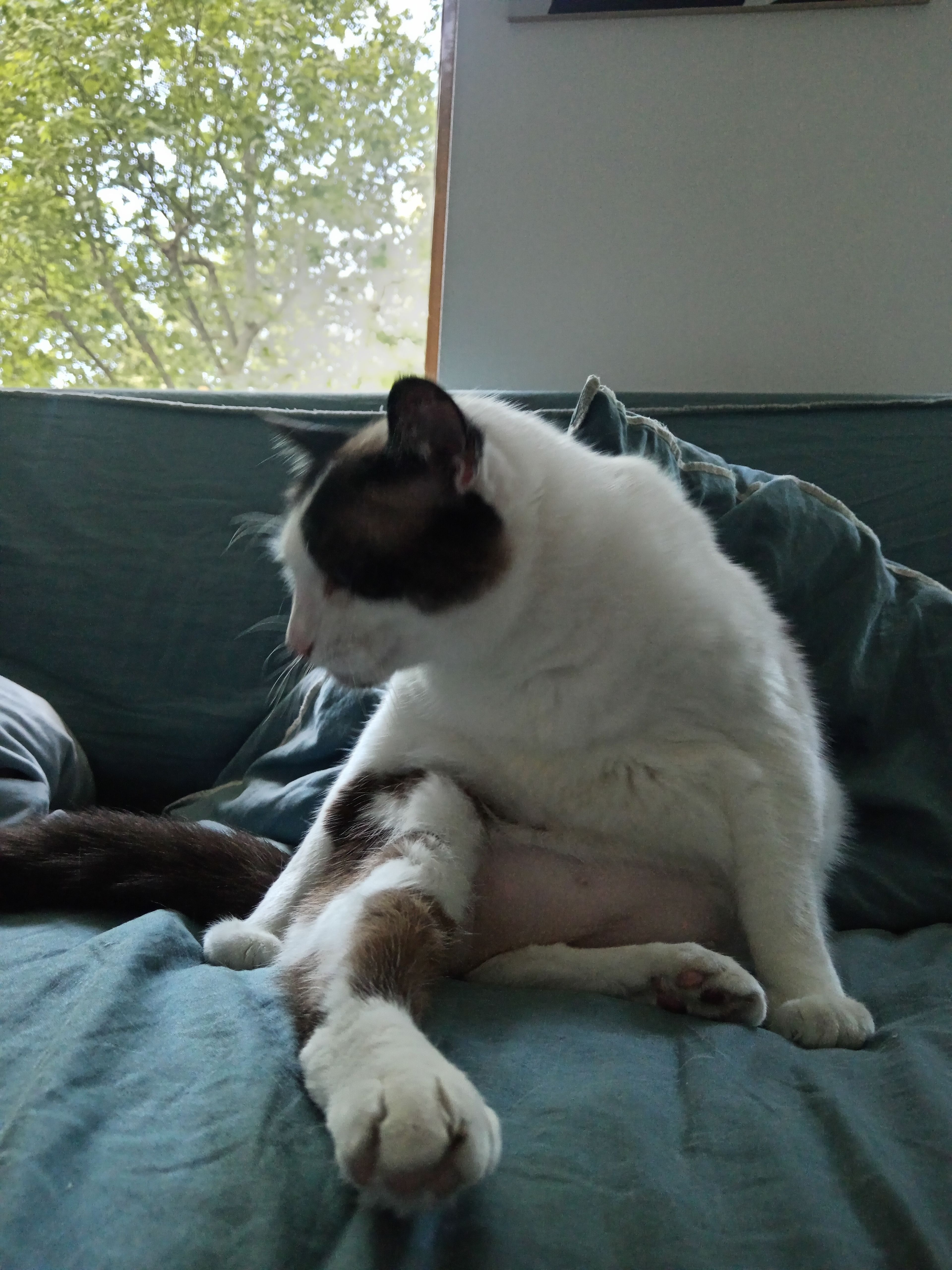 image-12