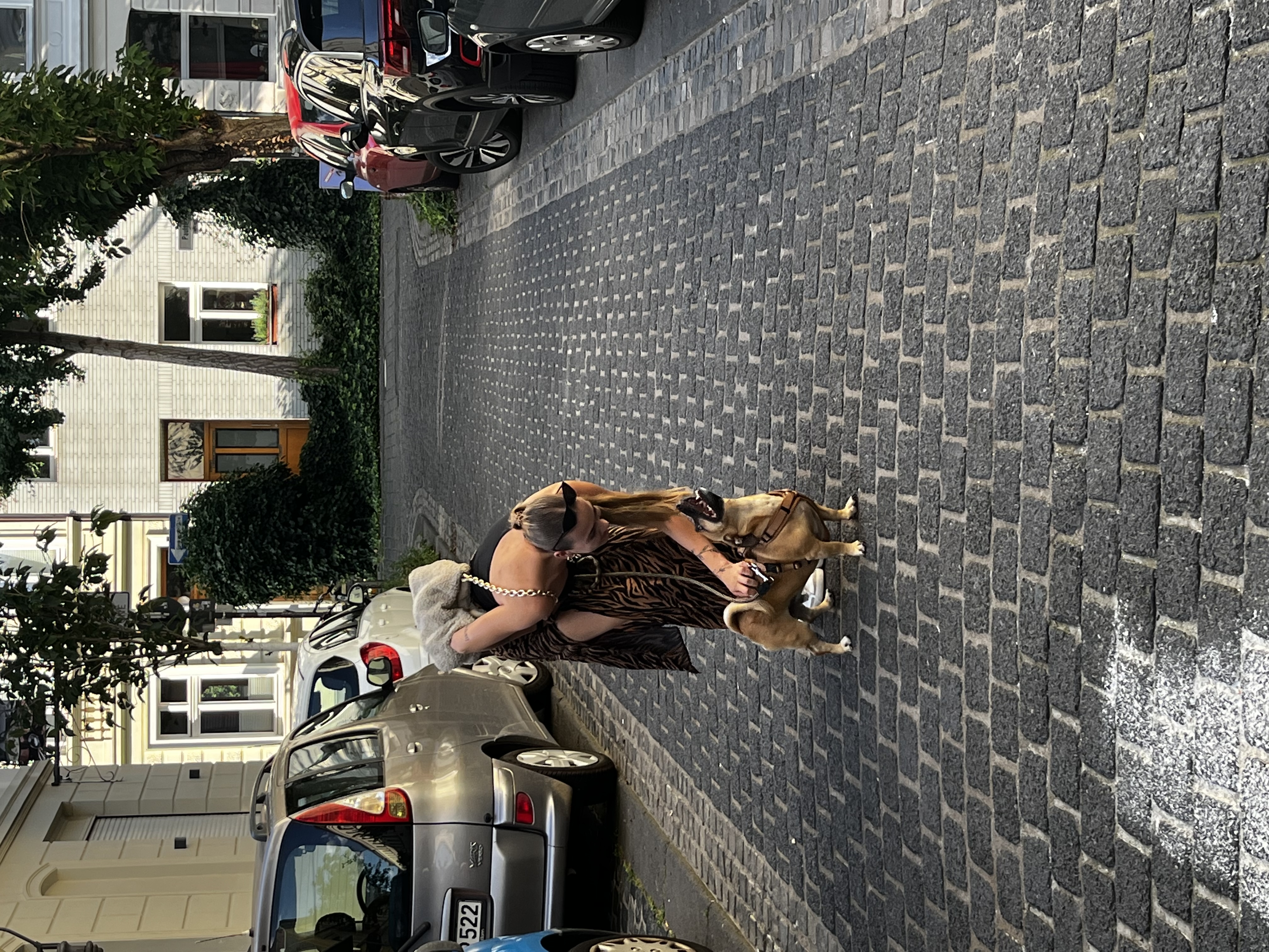 image-3