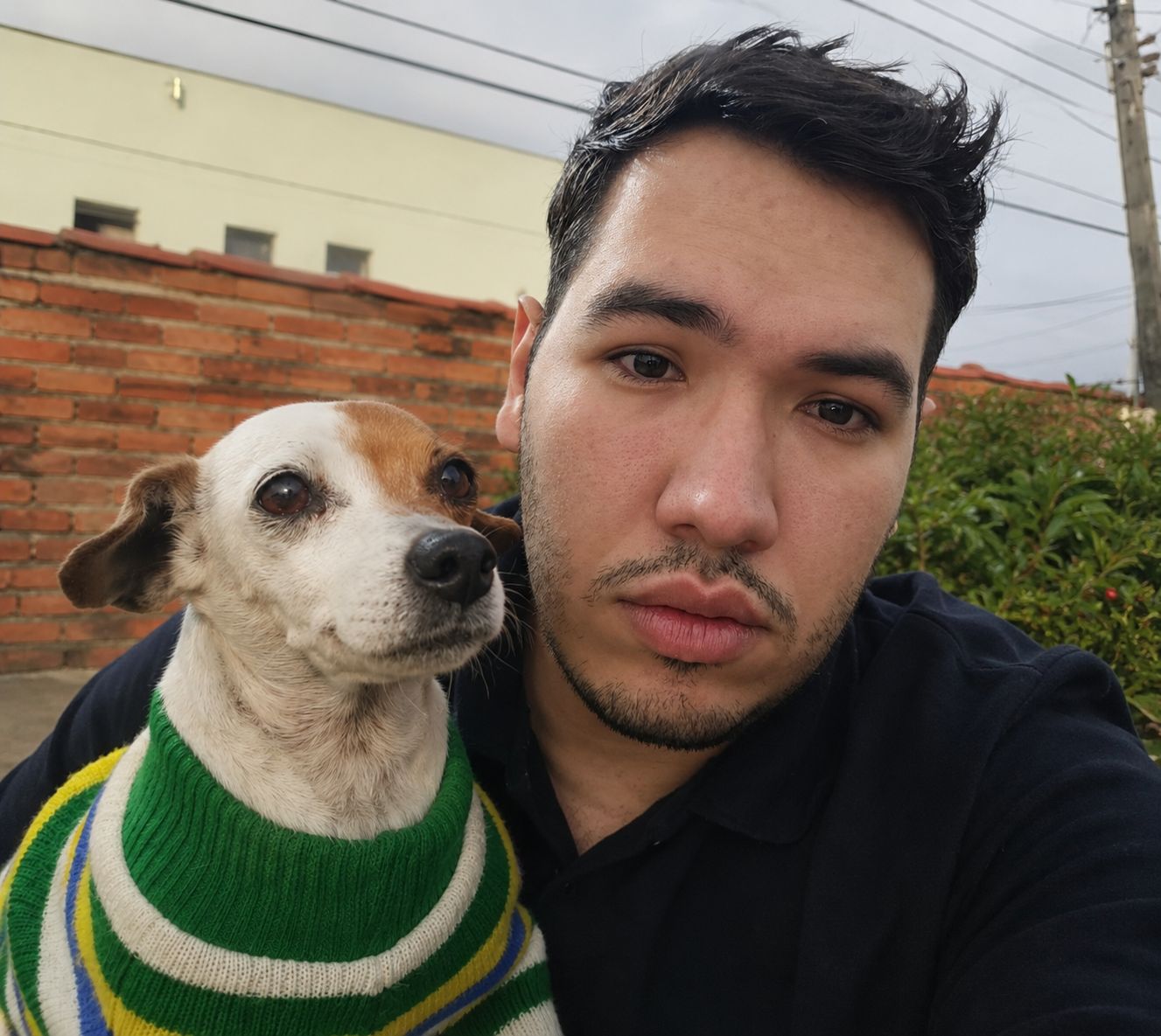 image-5