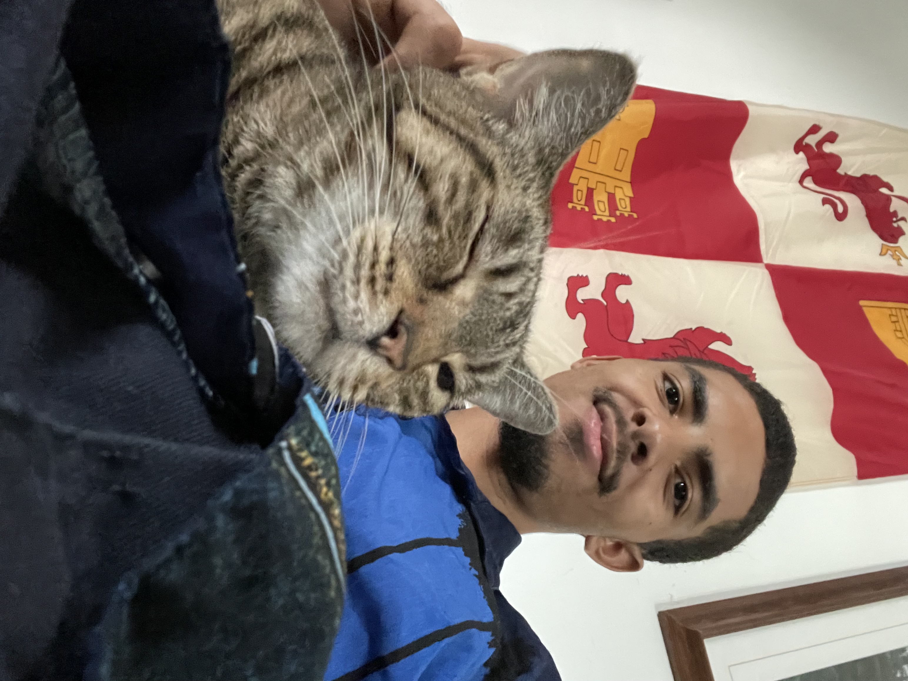 image-7