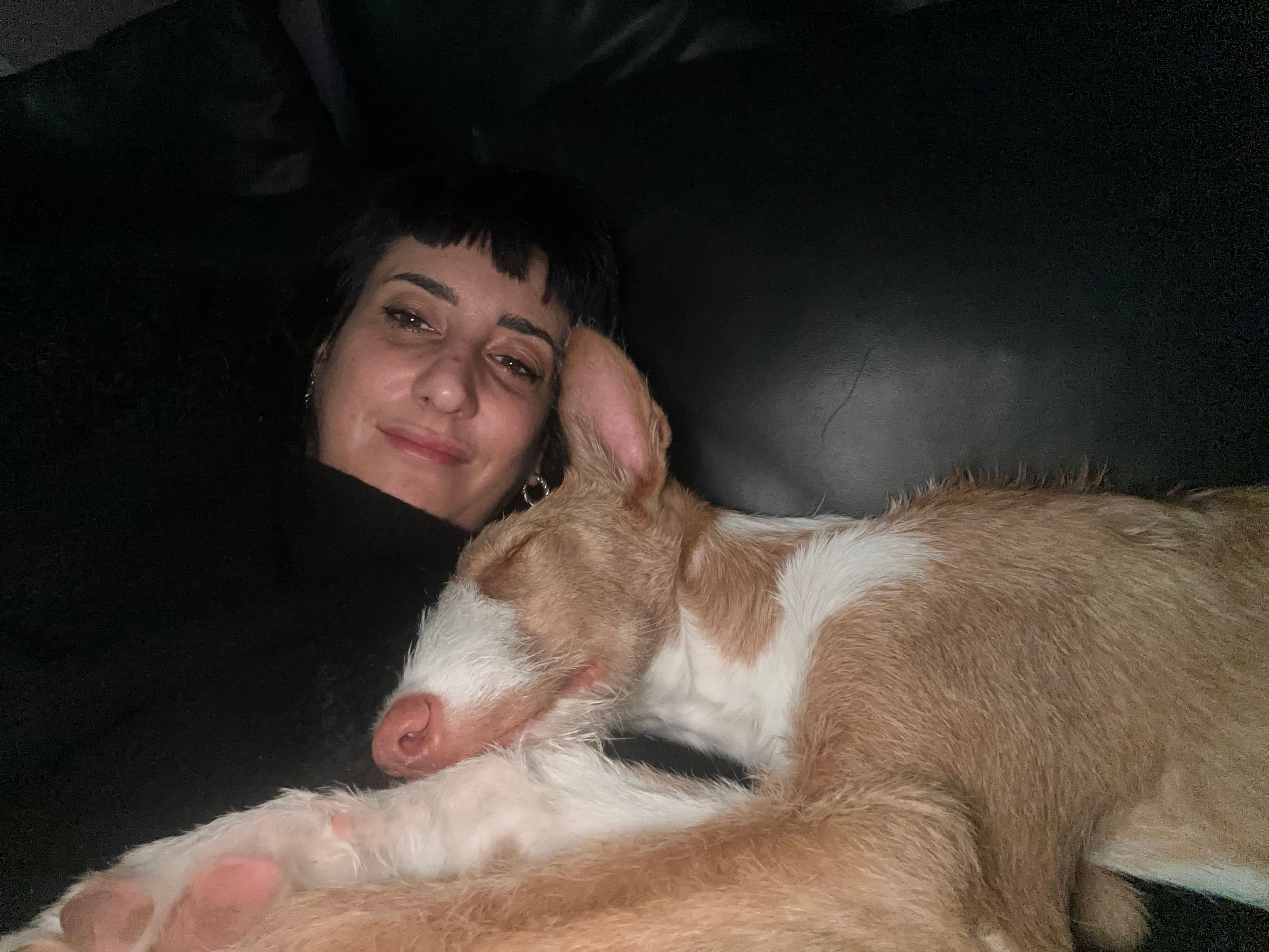 image-20