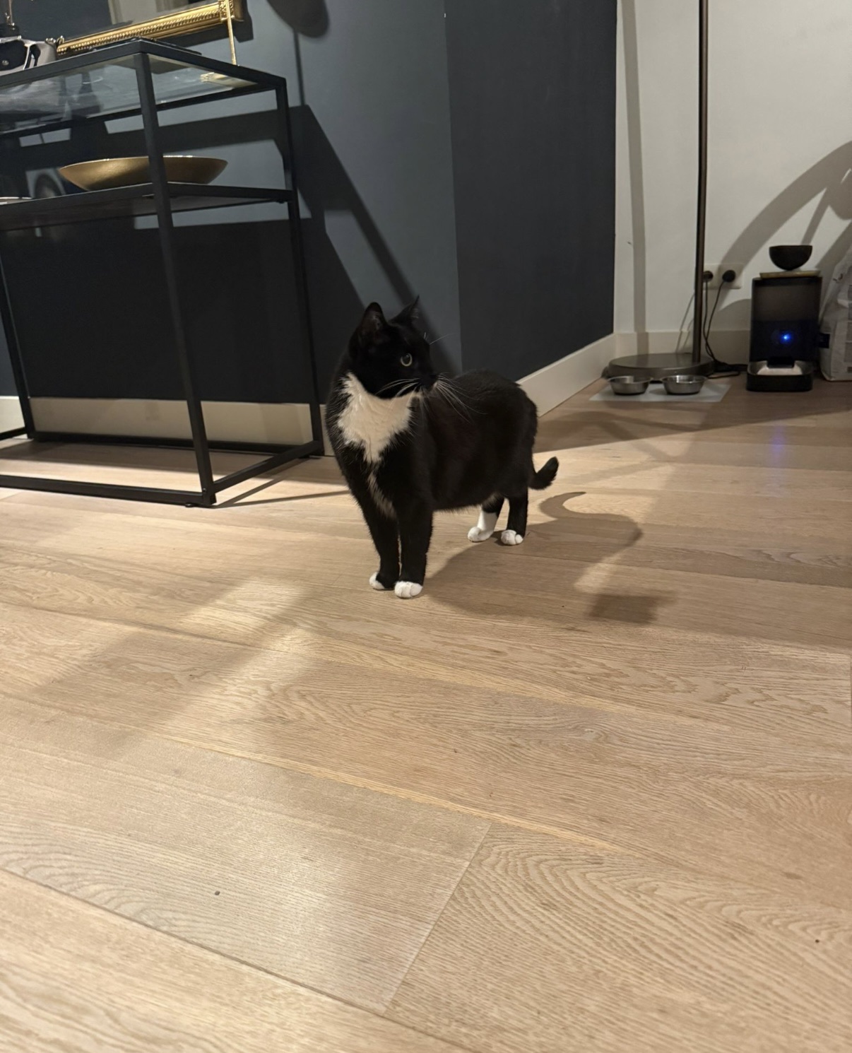 image-14