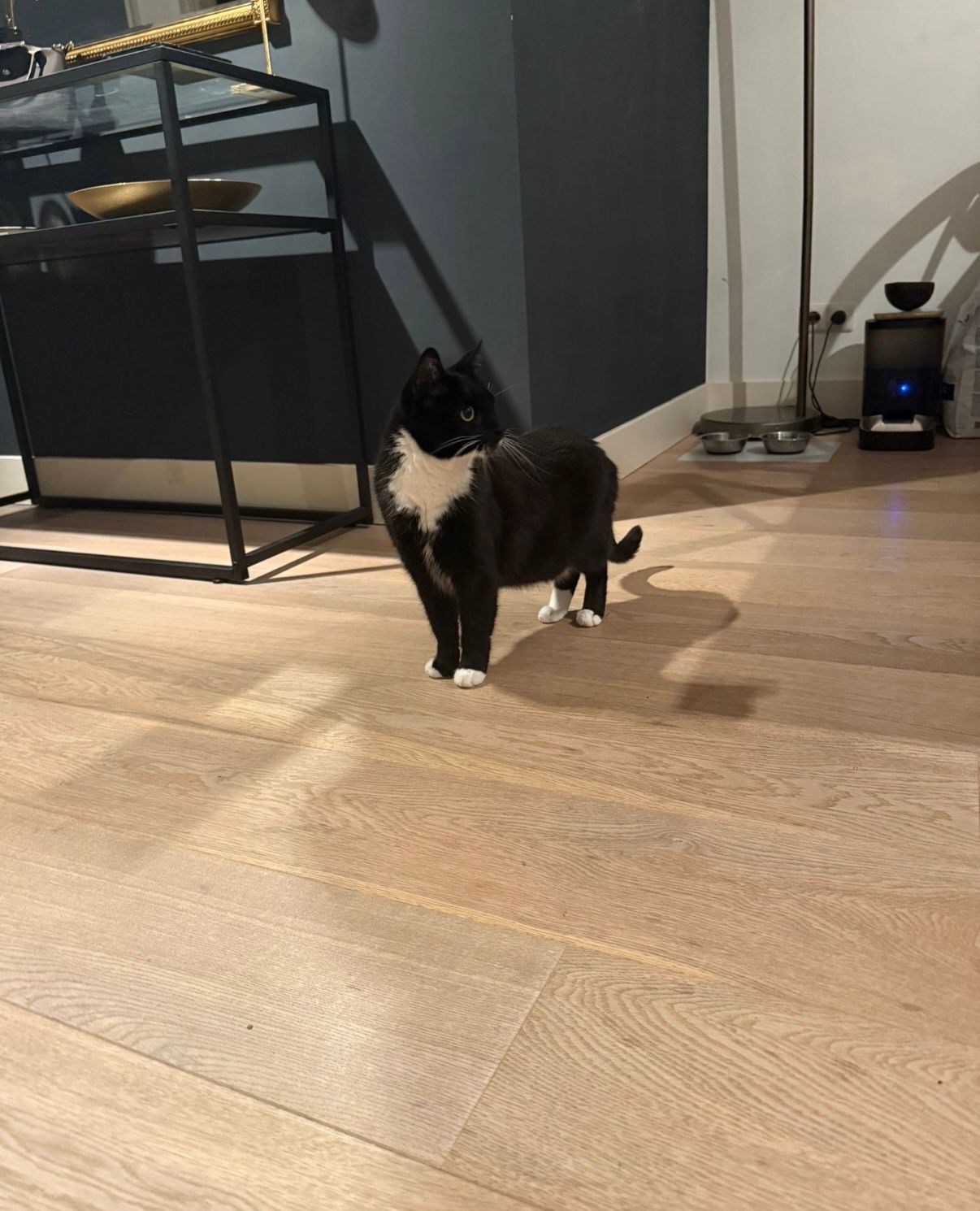 image-14