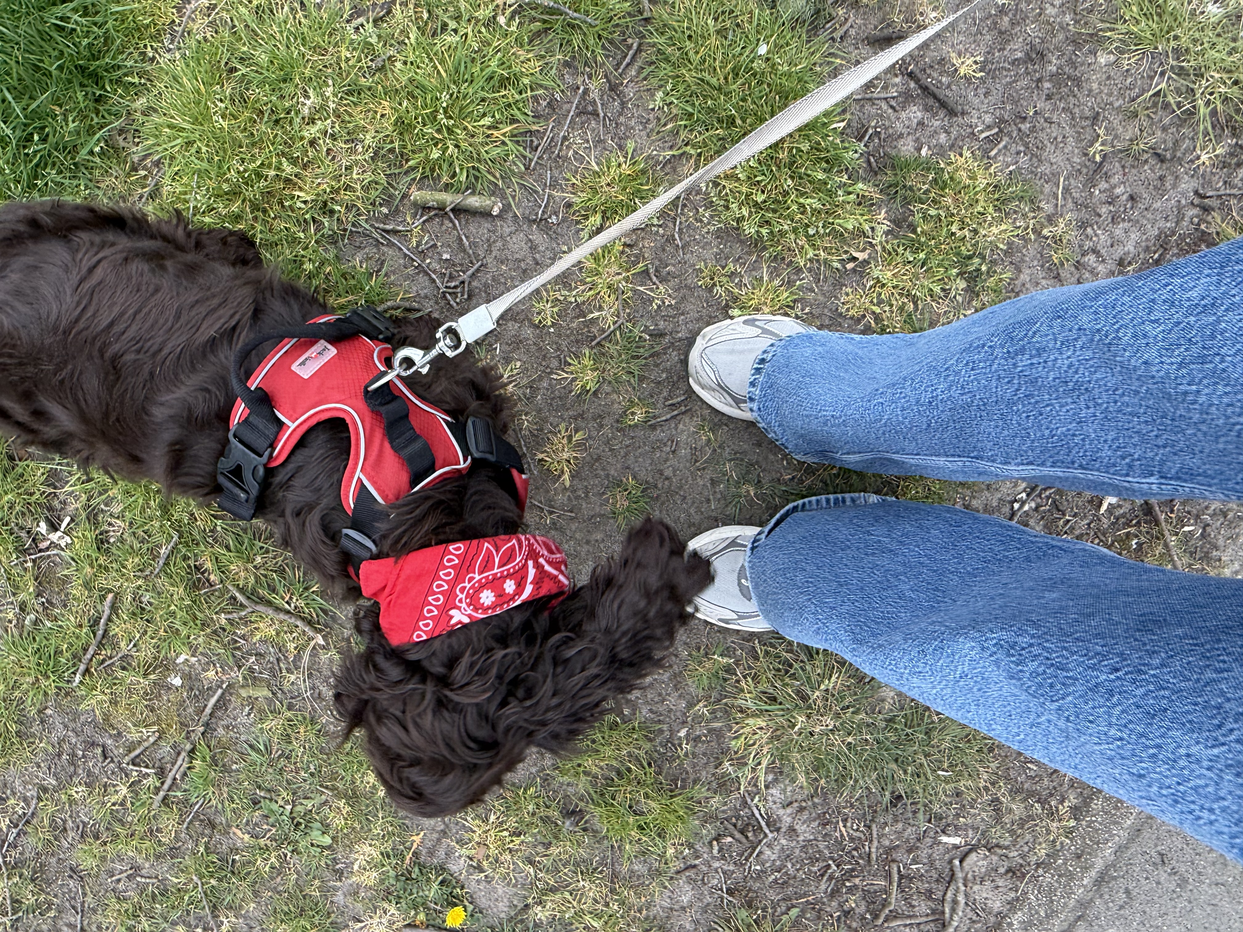 image-8