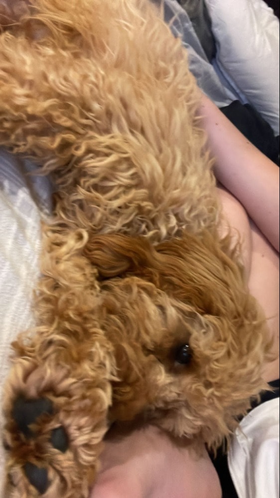 image-6