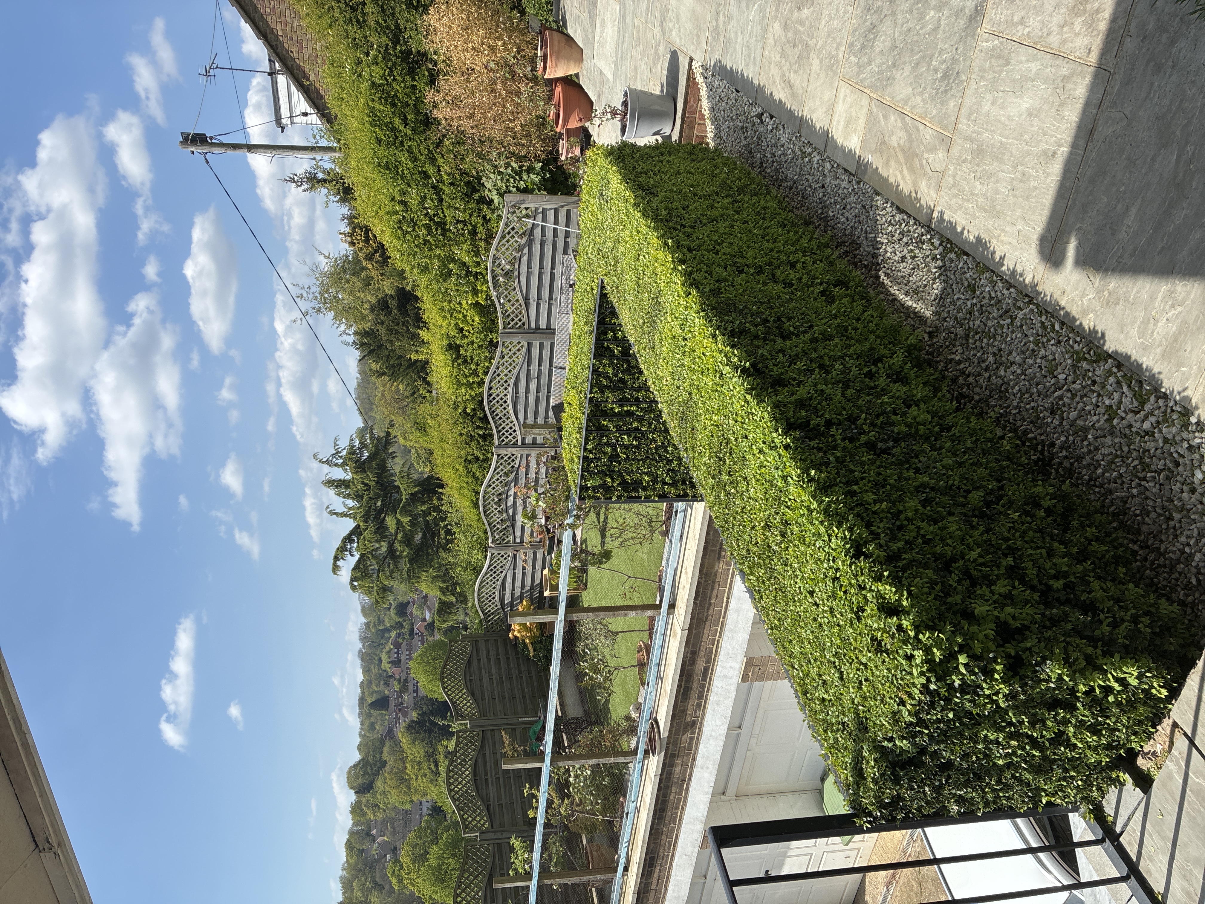 image-12