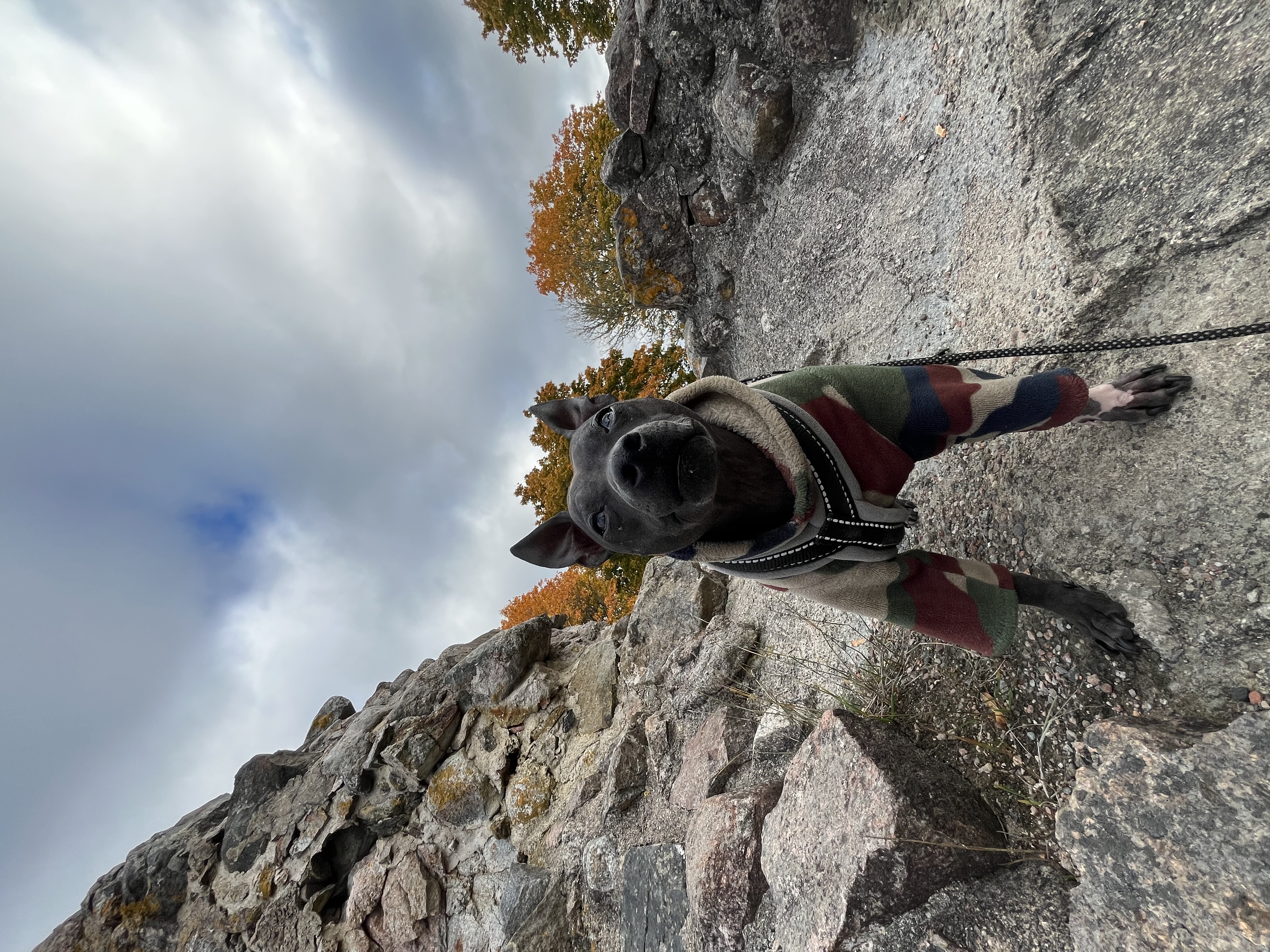 image-6