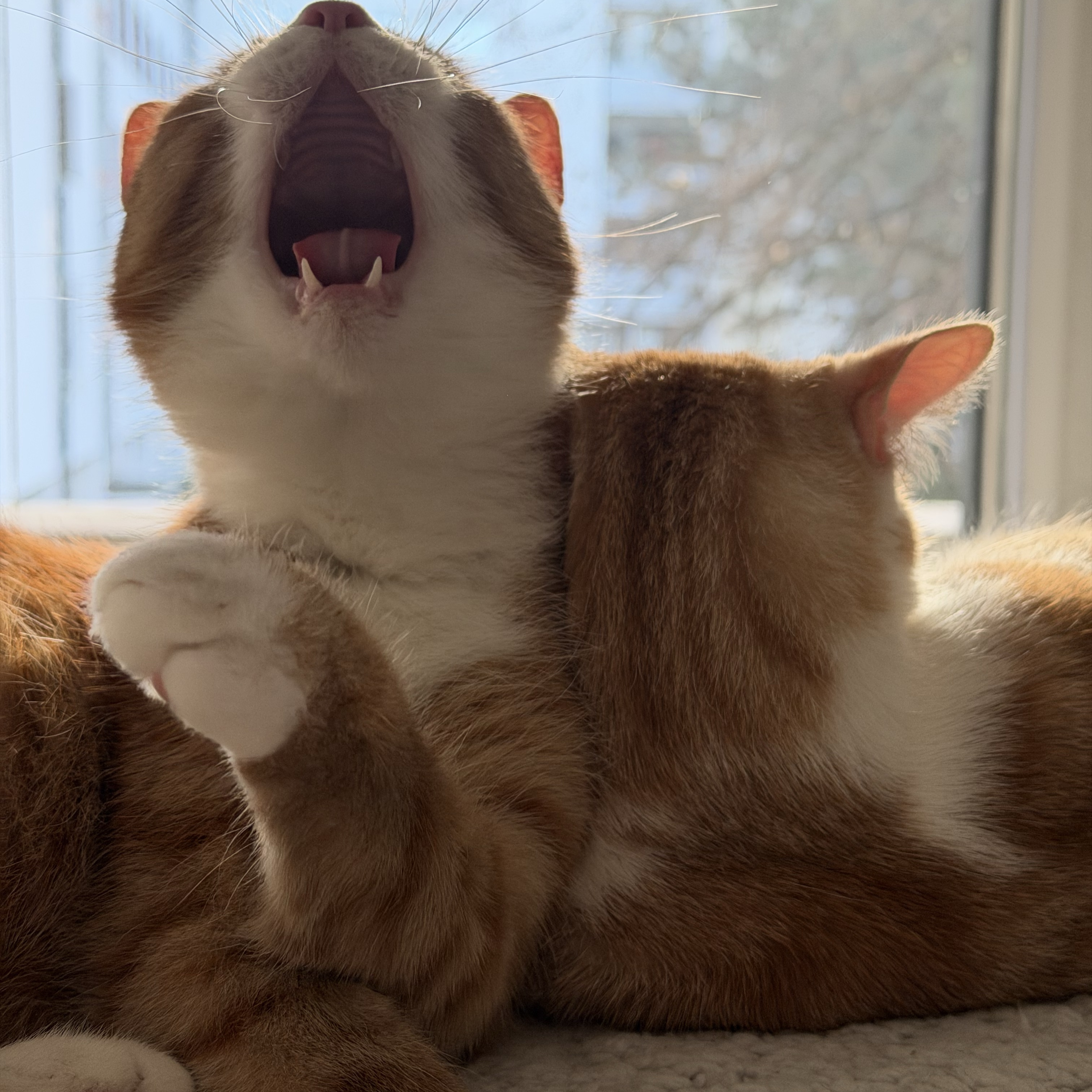 Walter & Heinz