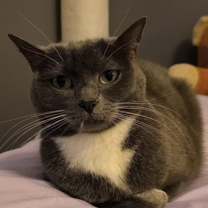 Nala