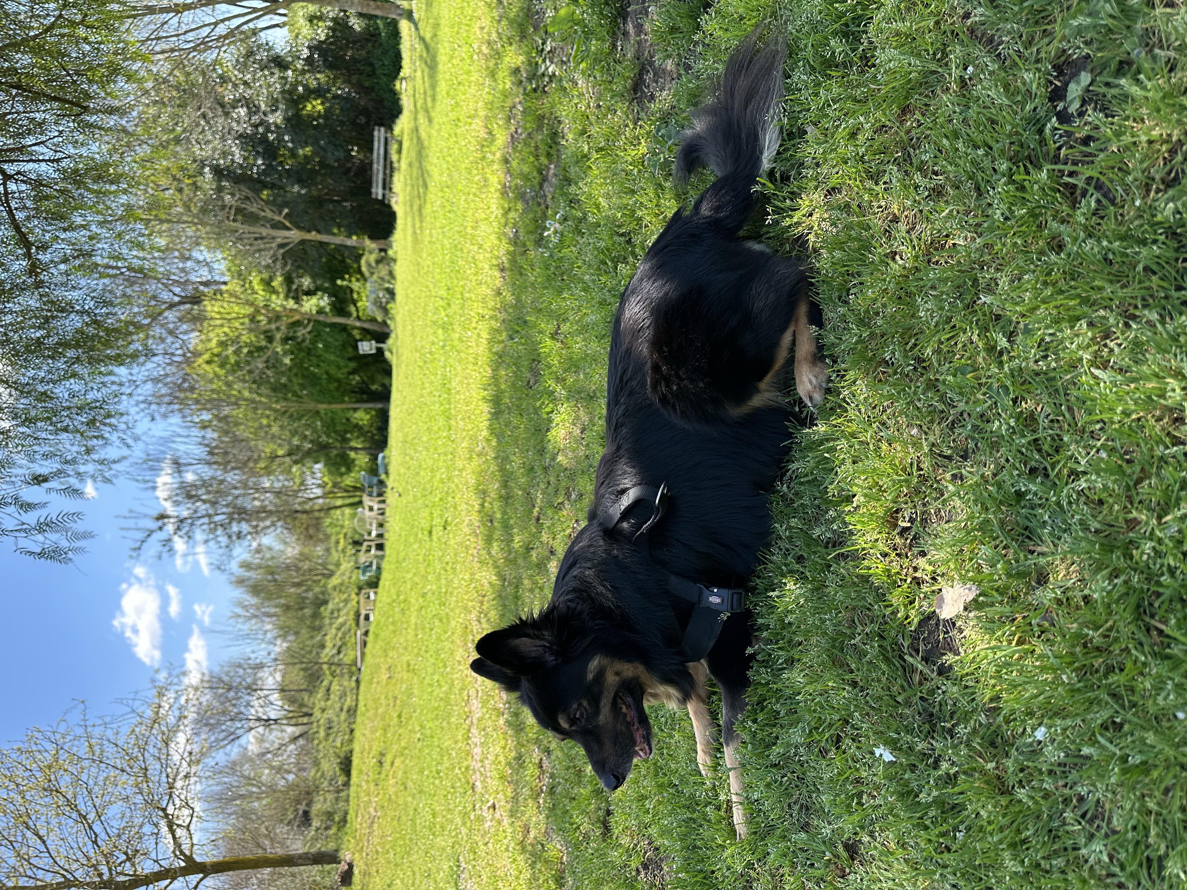 image-5