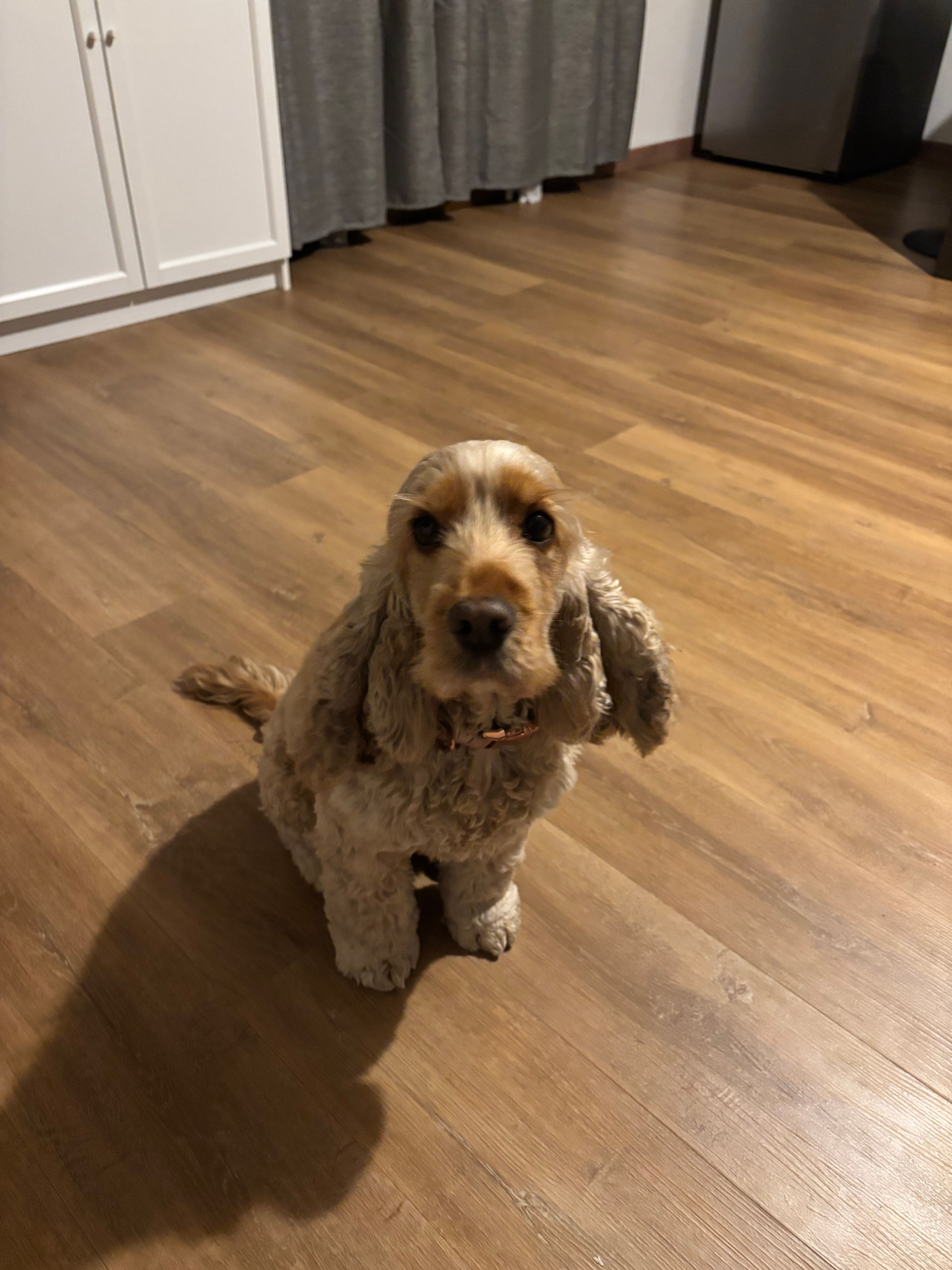 image-20