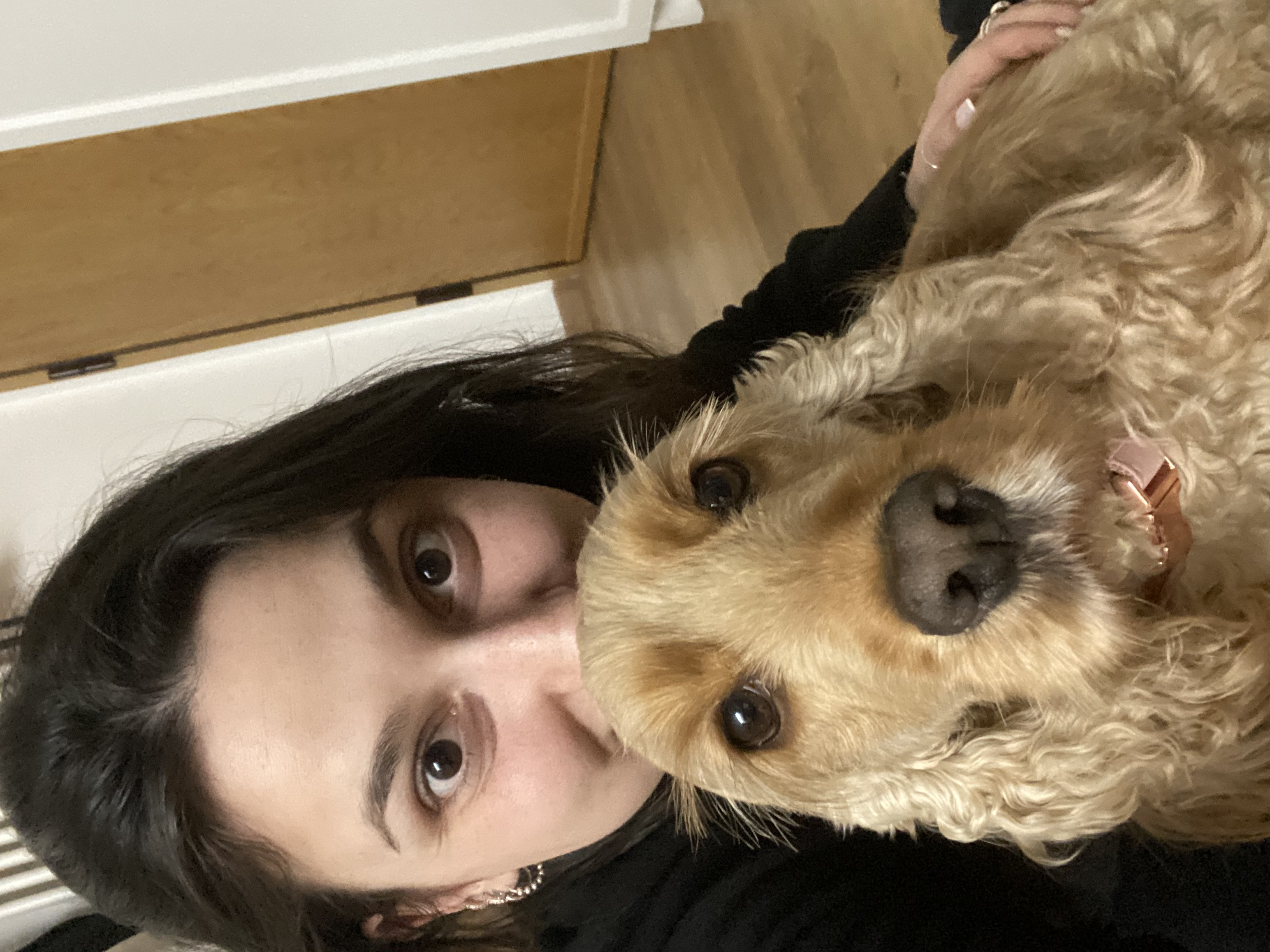 image-7