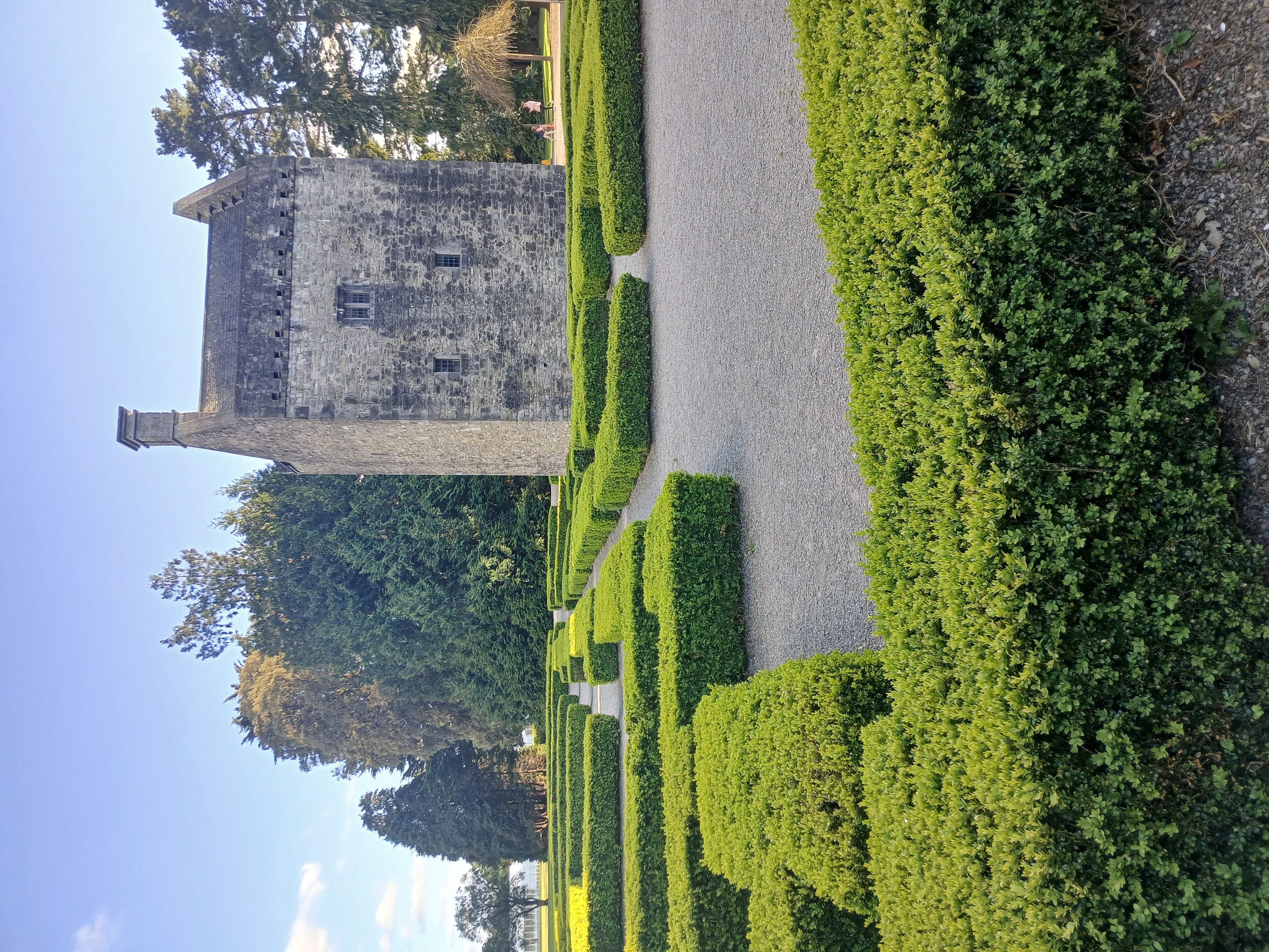image-10