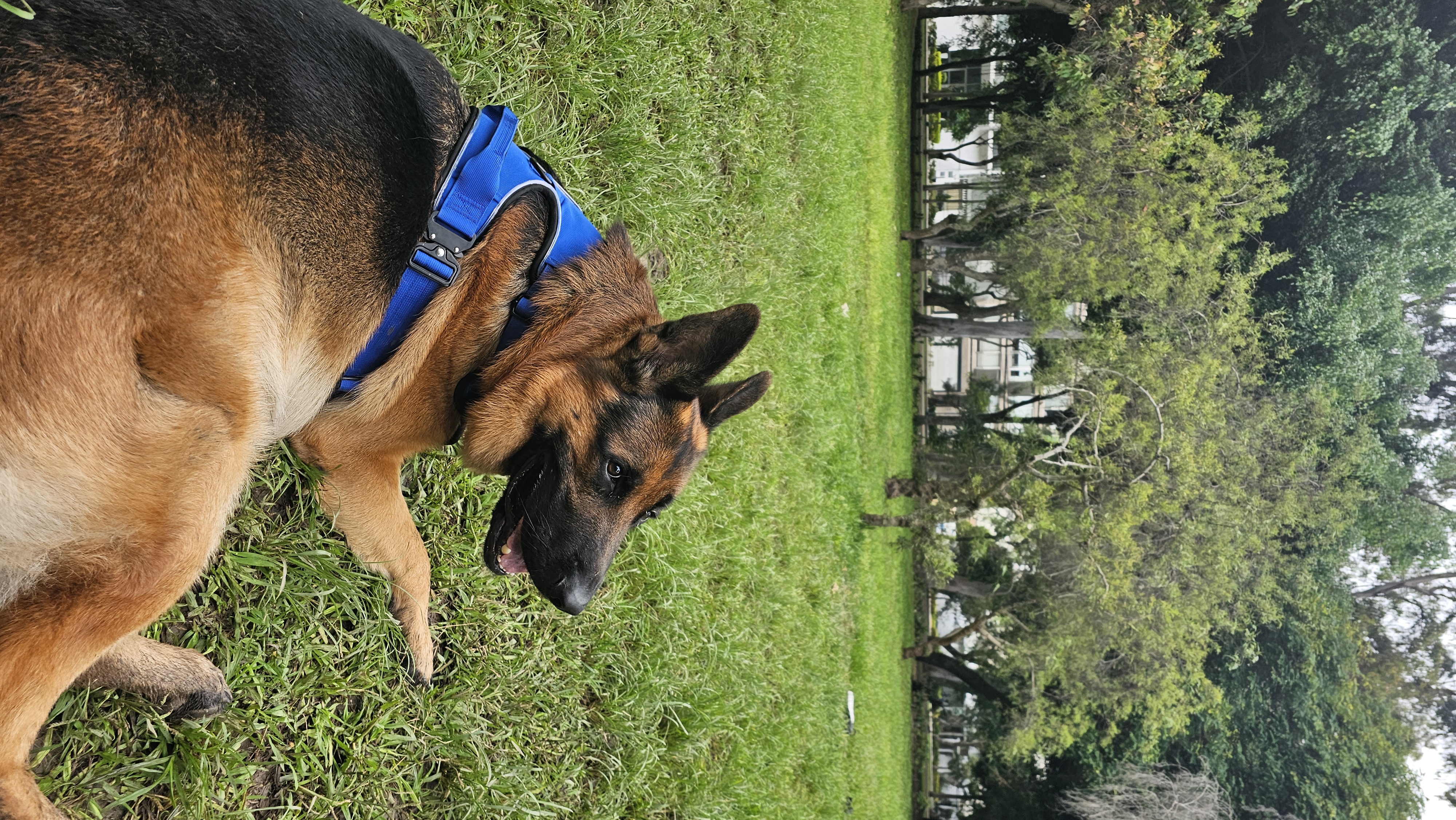 image-7