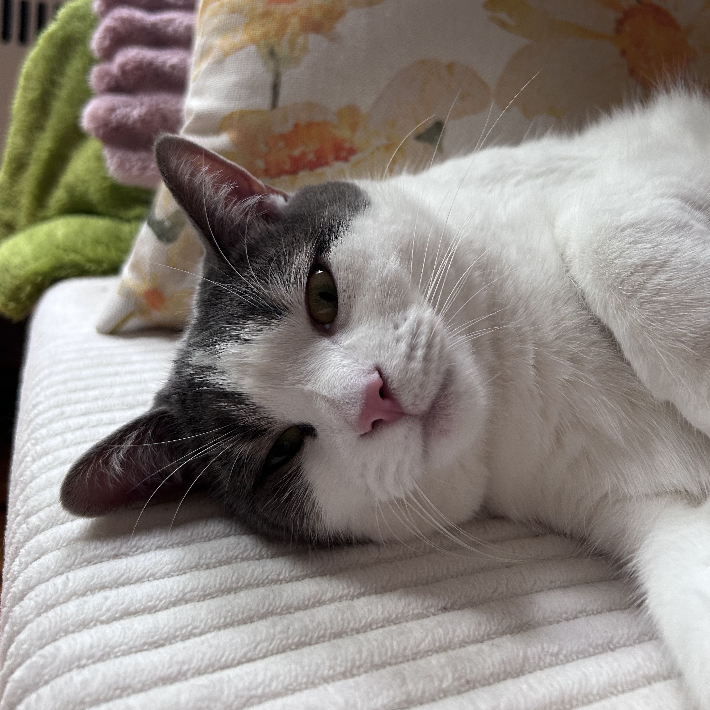 Luna