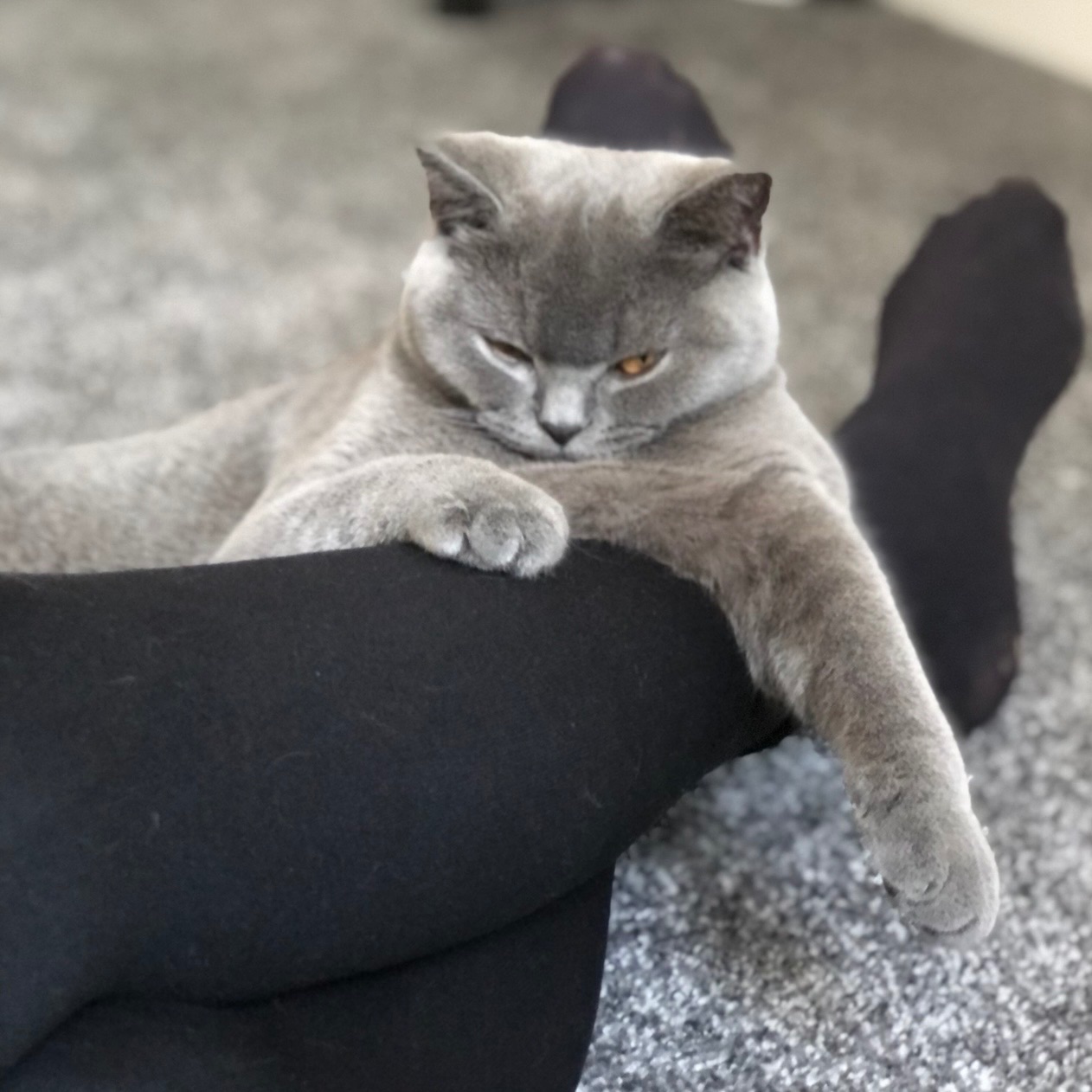 Suzie