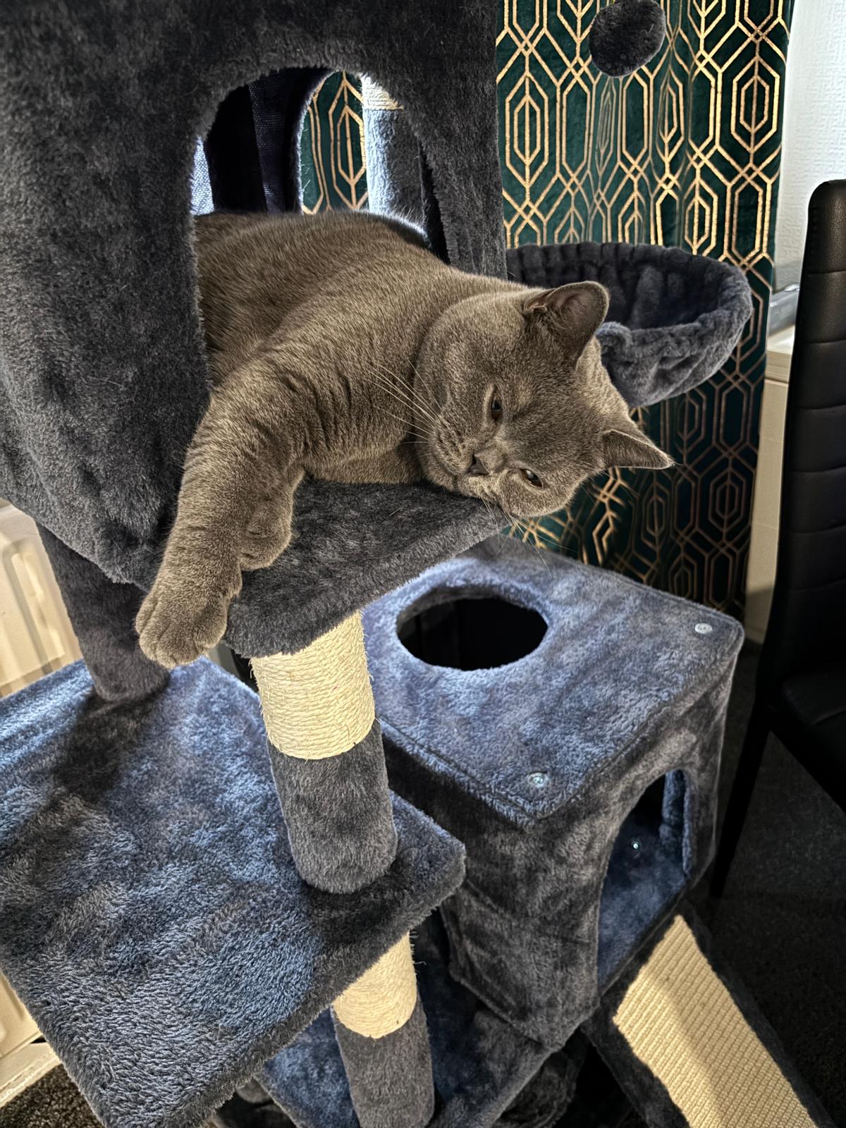 image-10