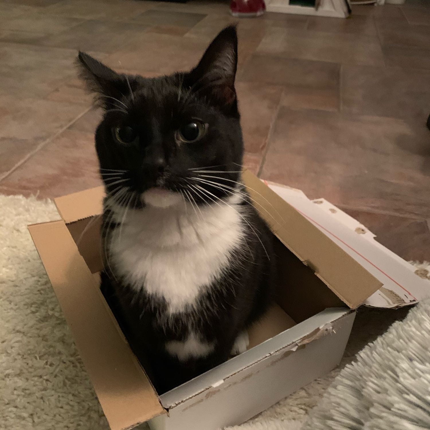 Nala