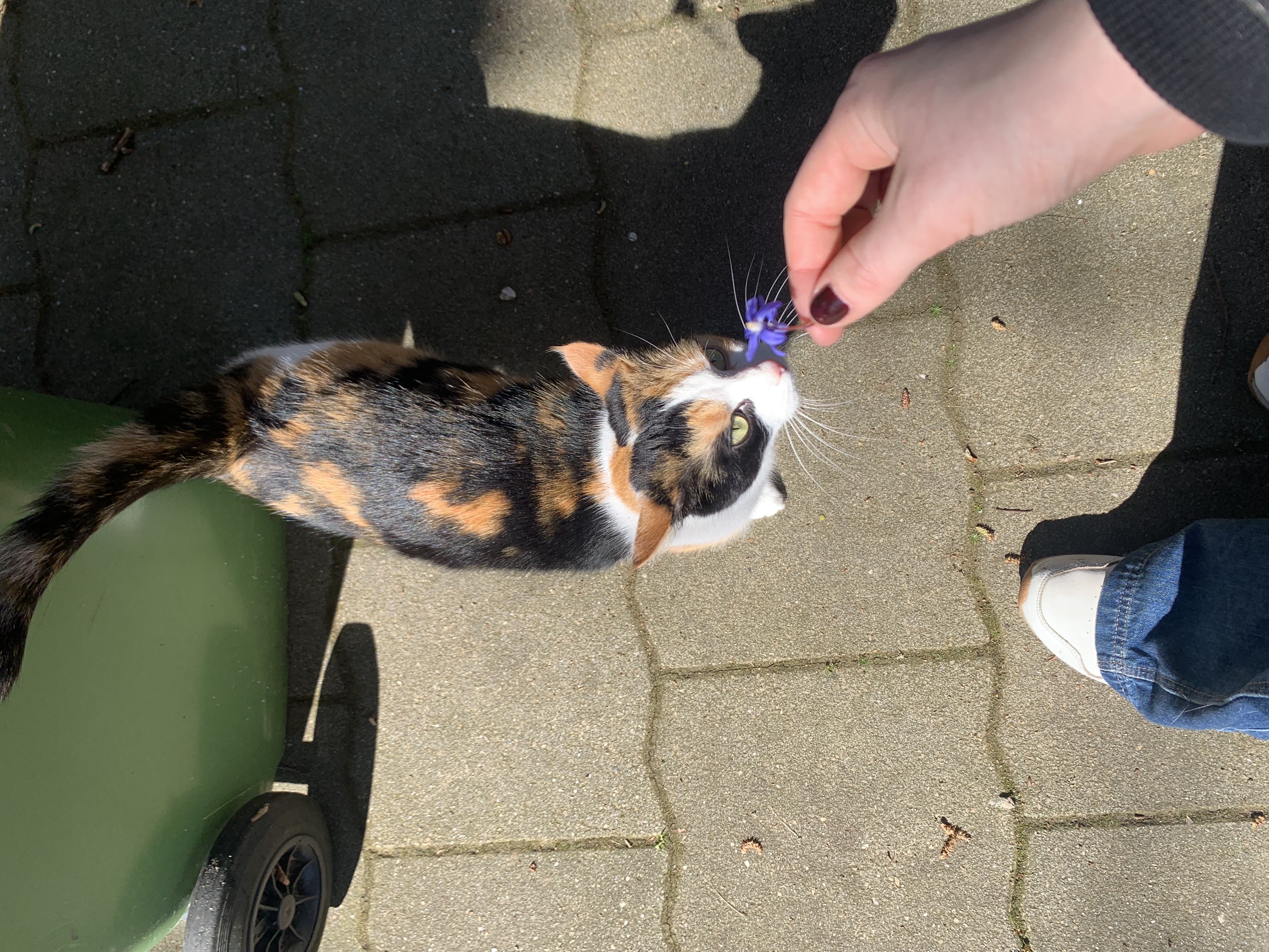 image-6