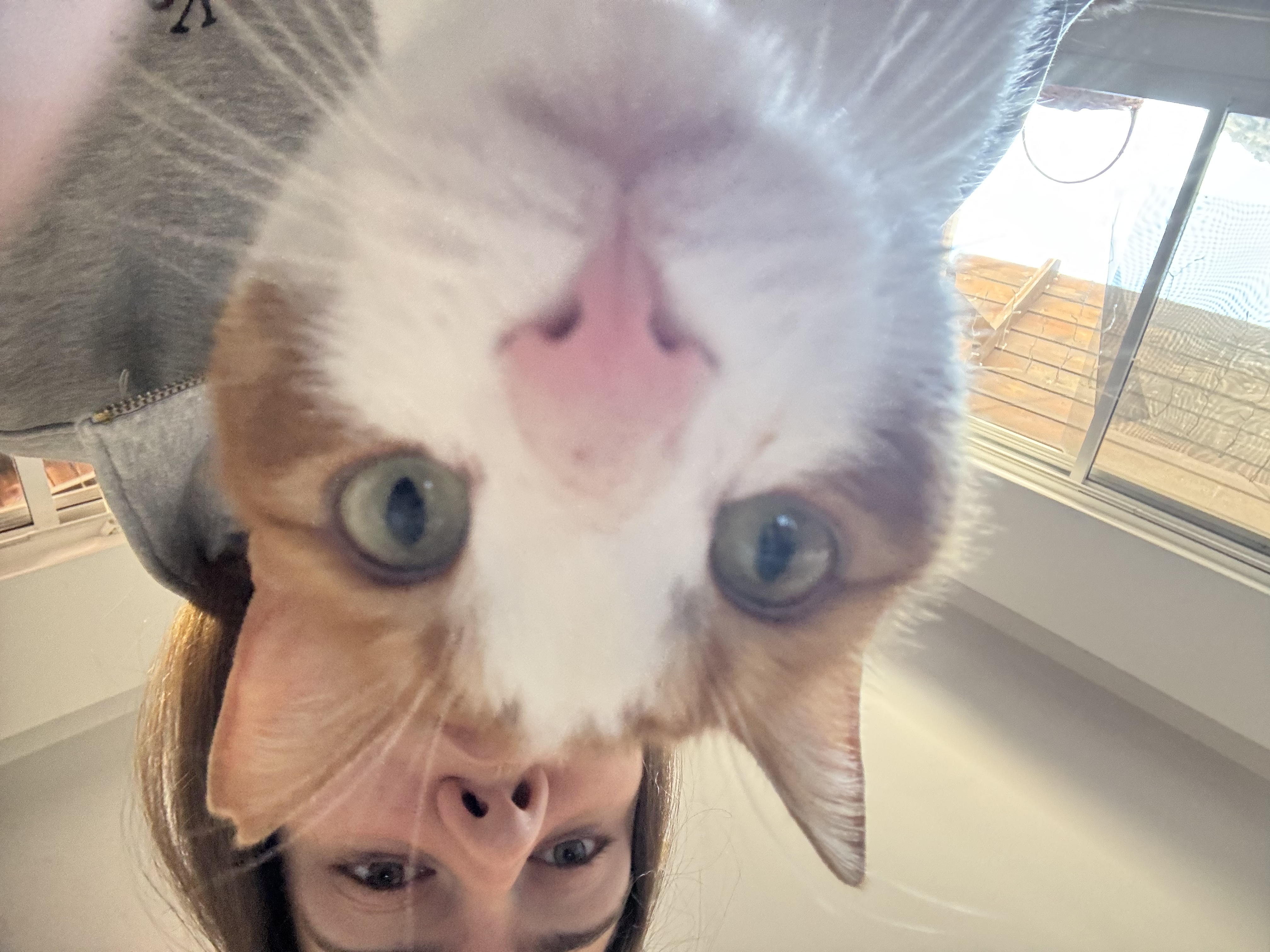 image-6