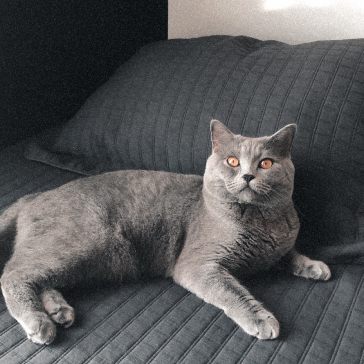 image-17