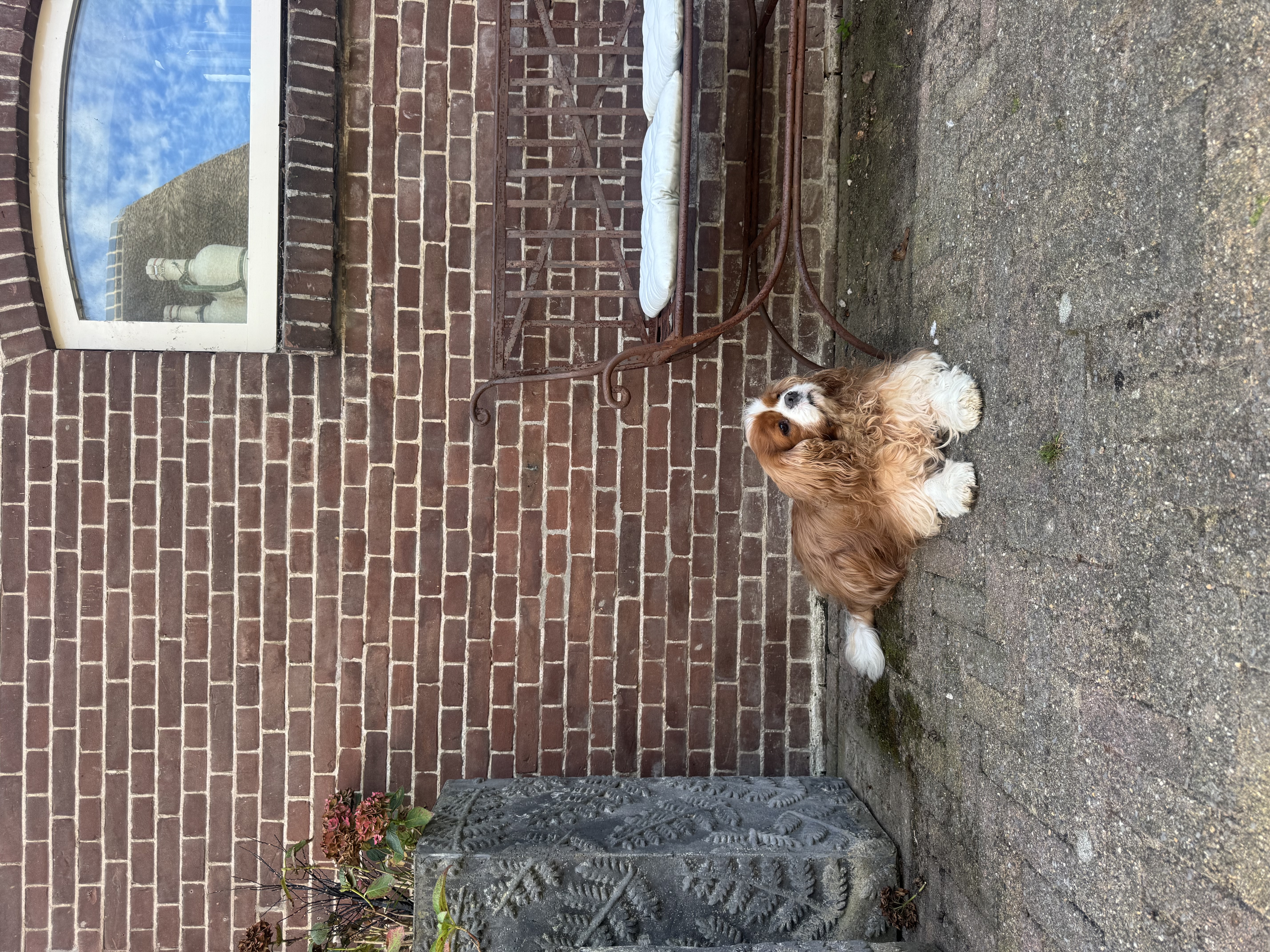 image-5