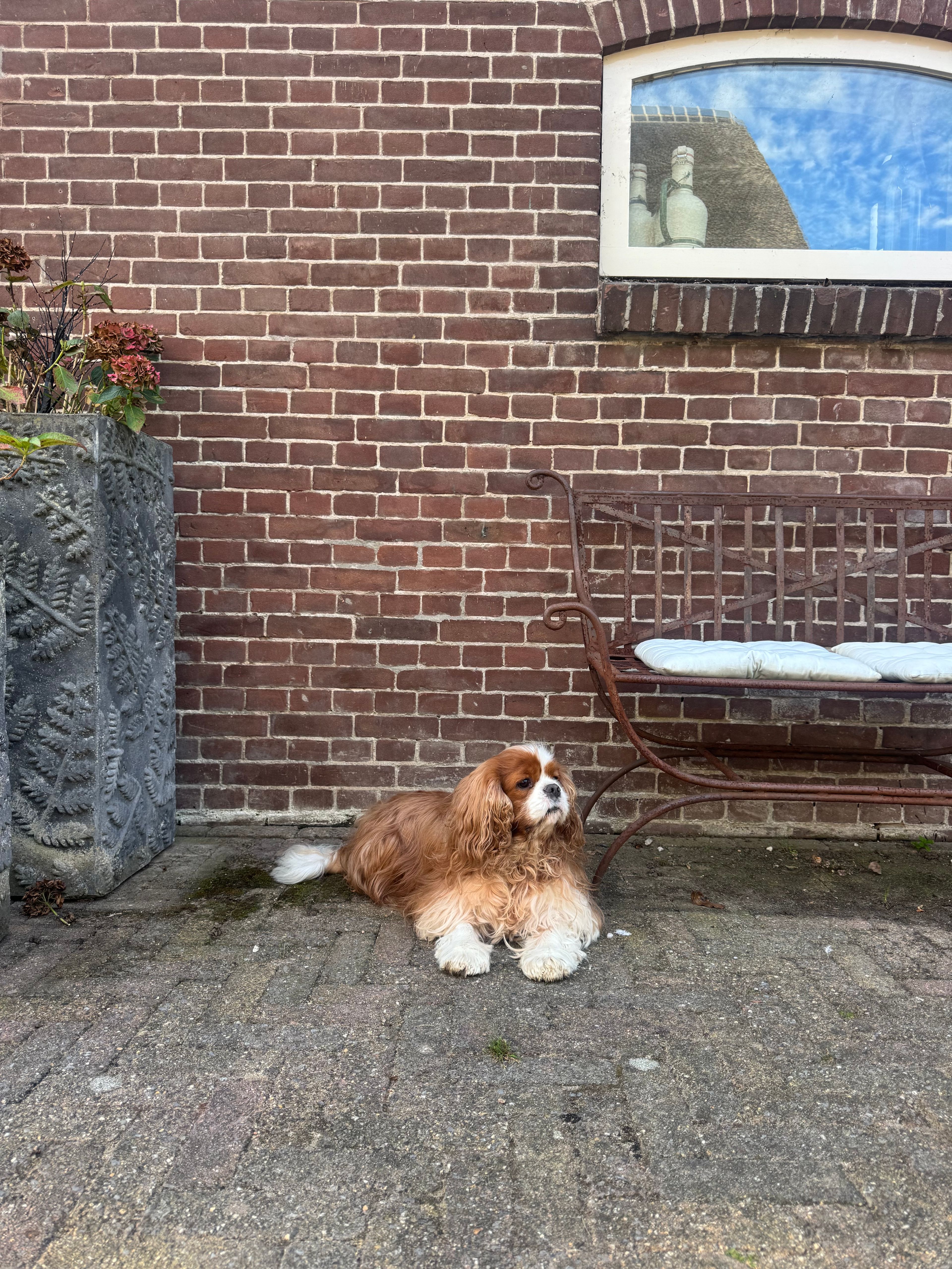 image-5