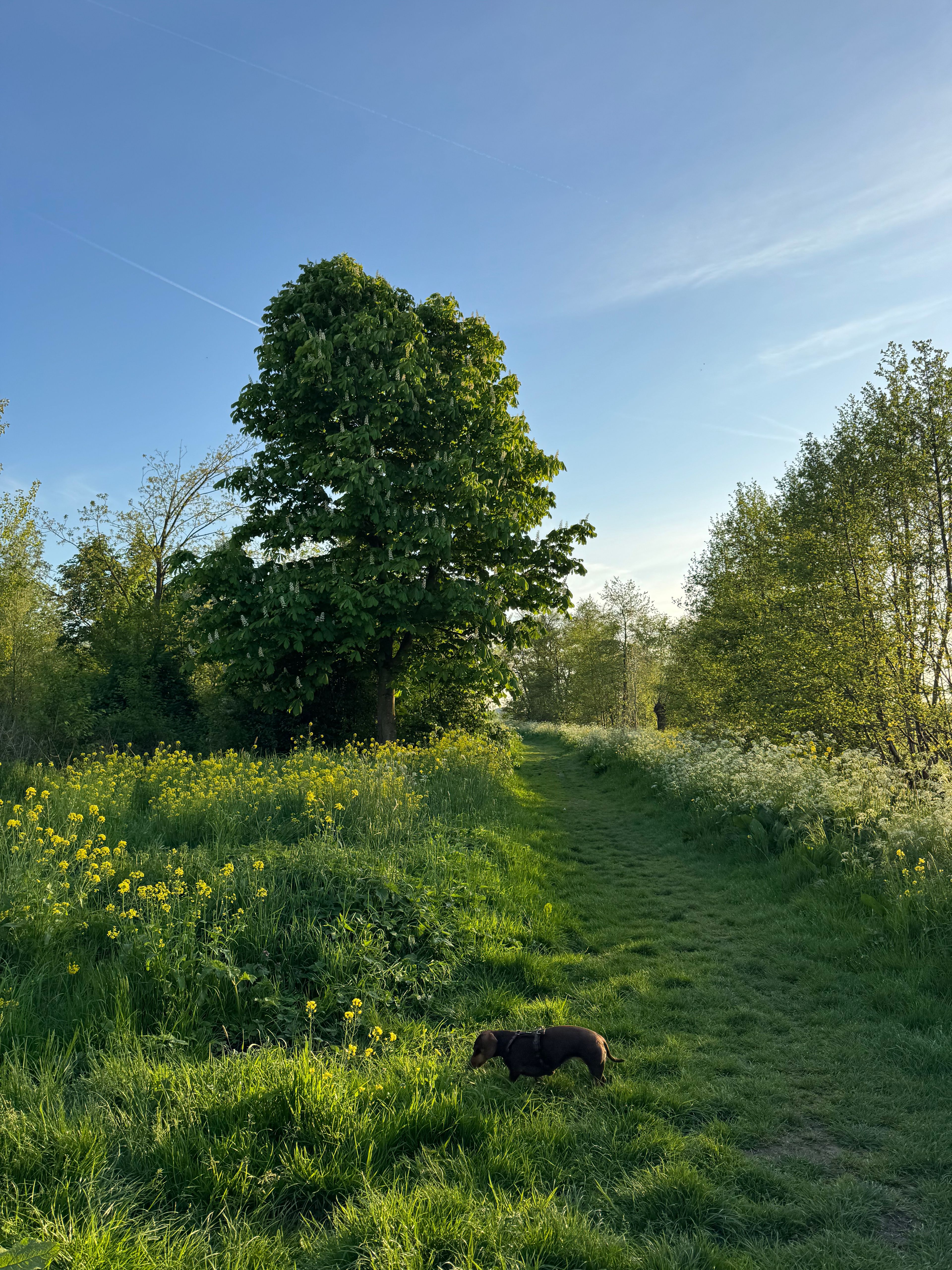 image-10