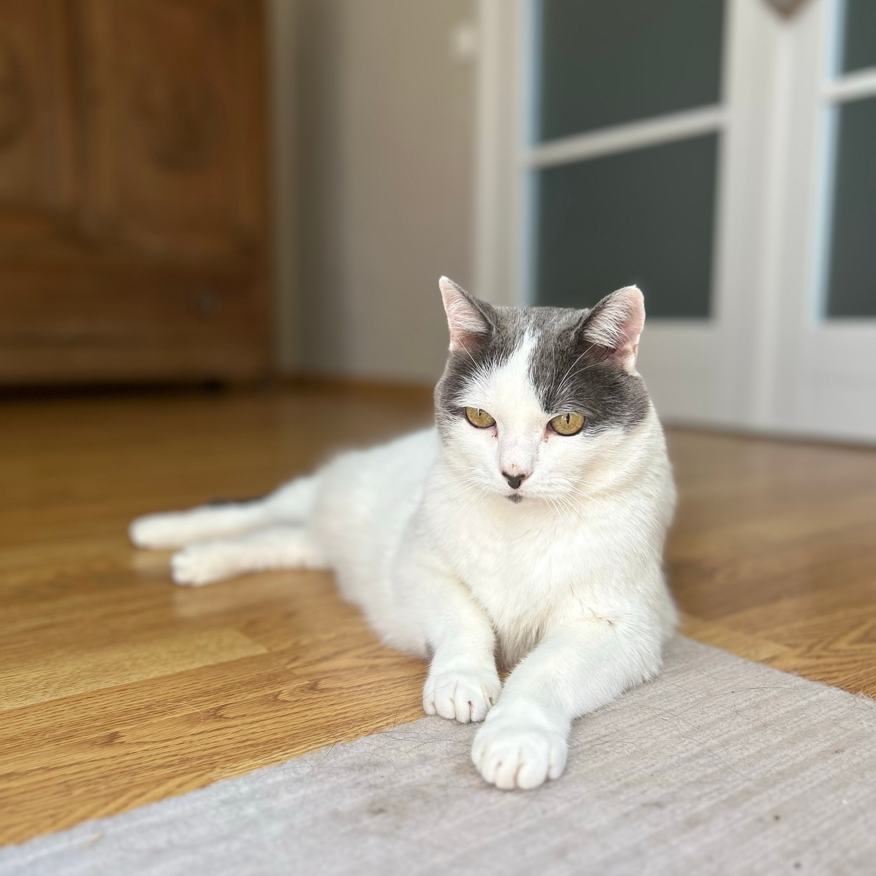 Jack