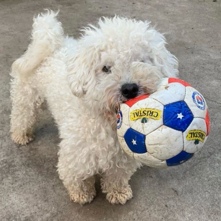 Tobby