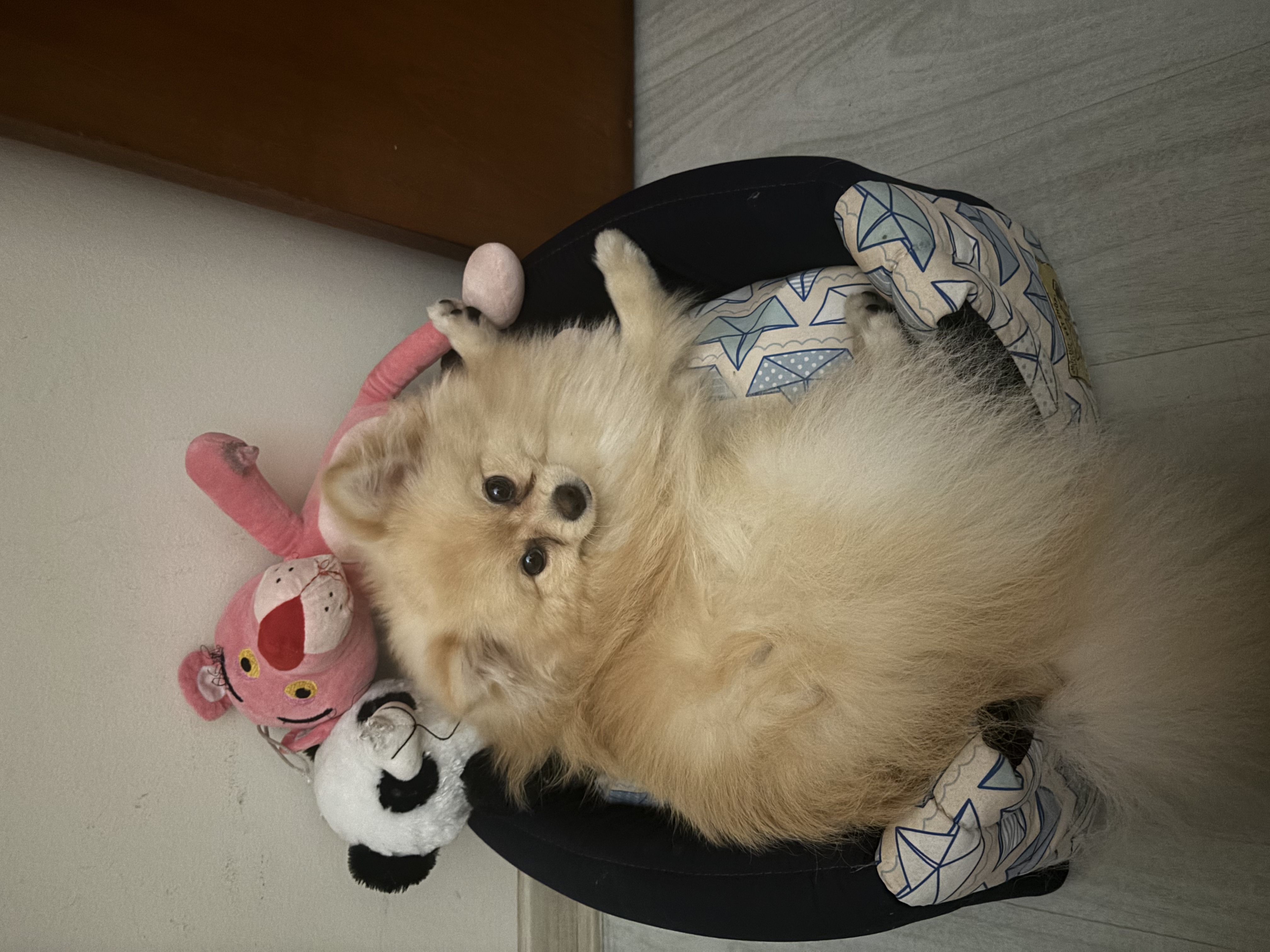 image-5