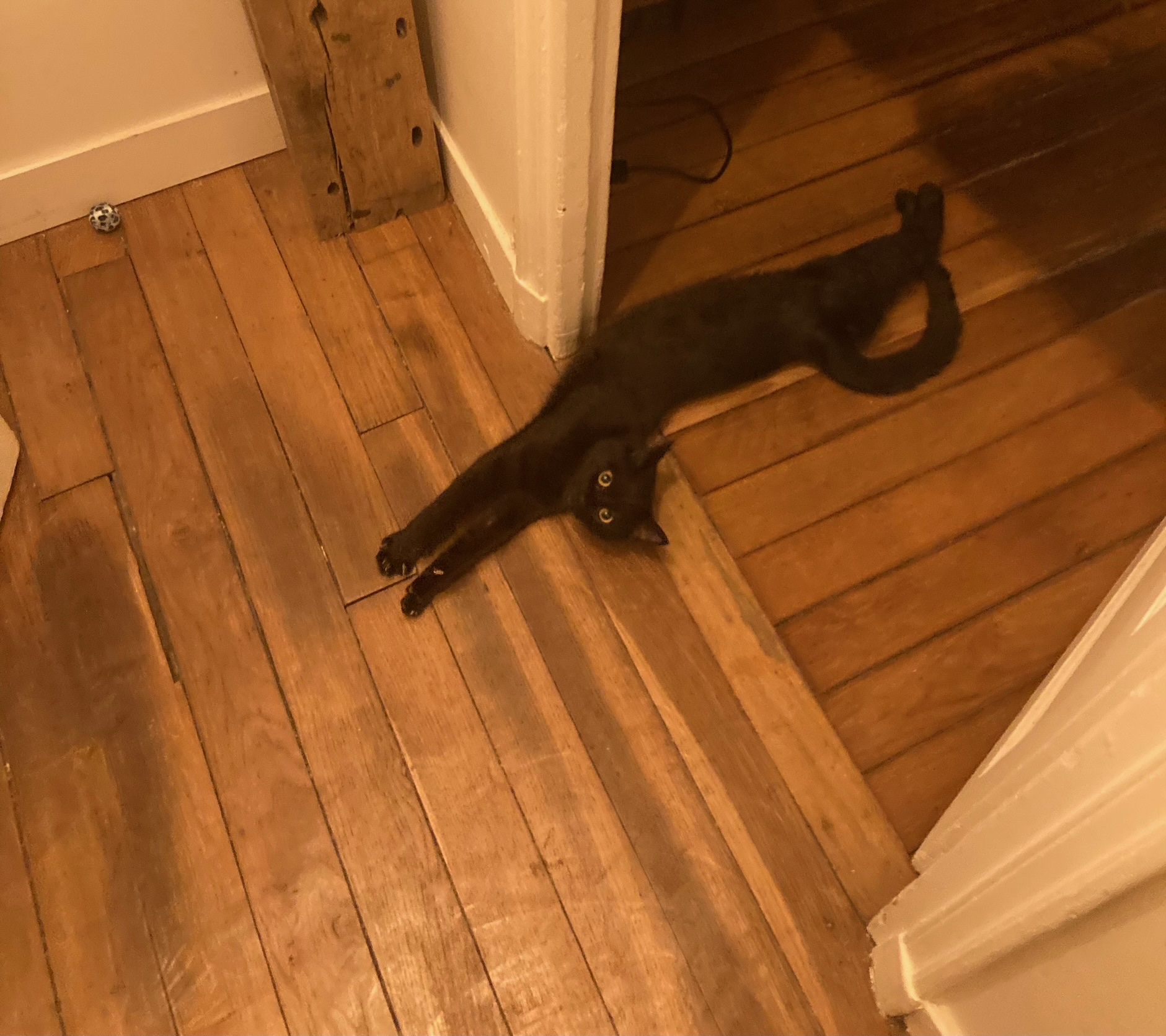 image-18