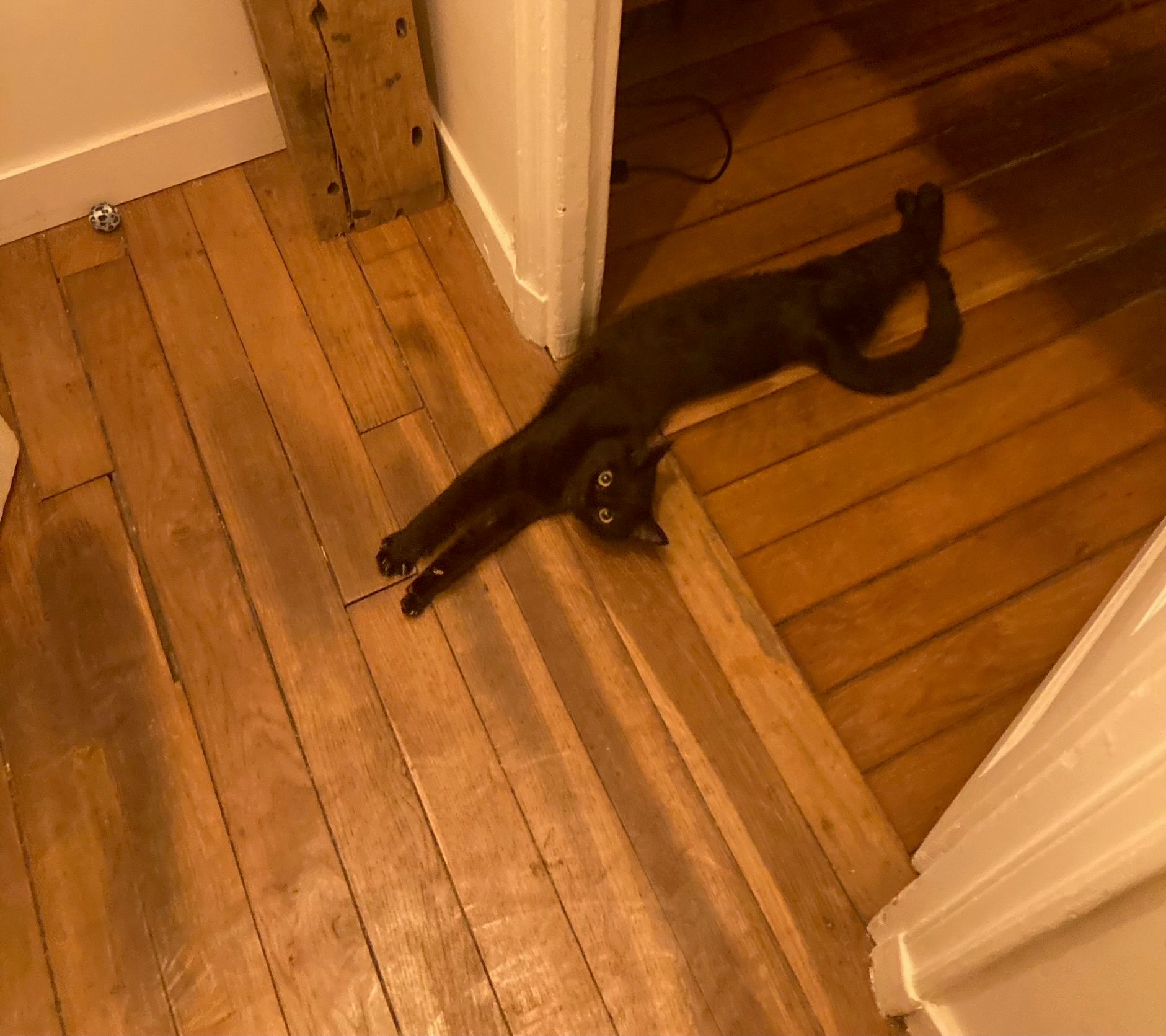image-18