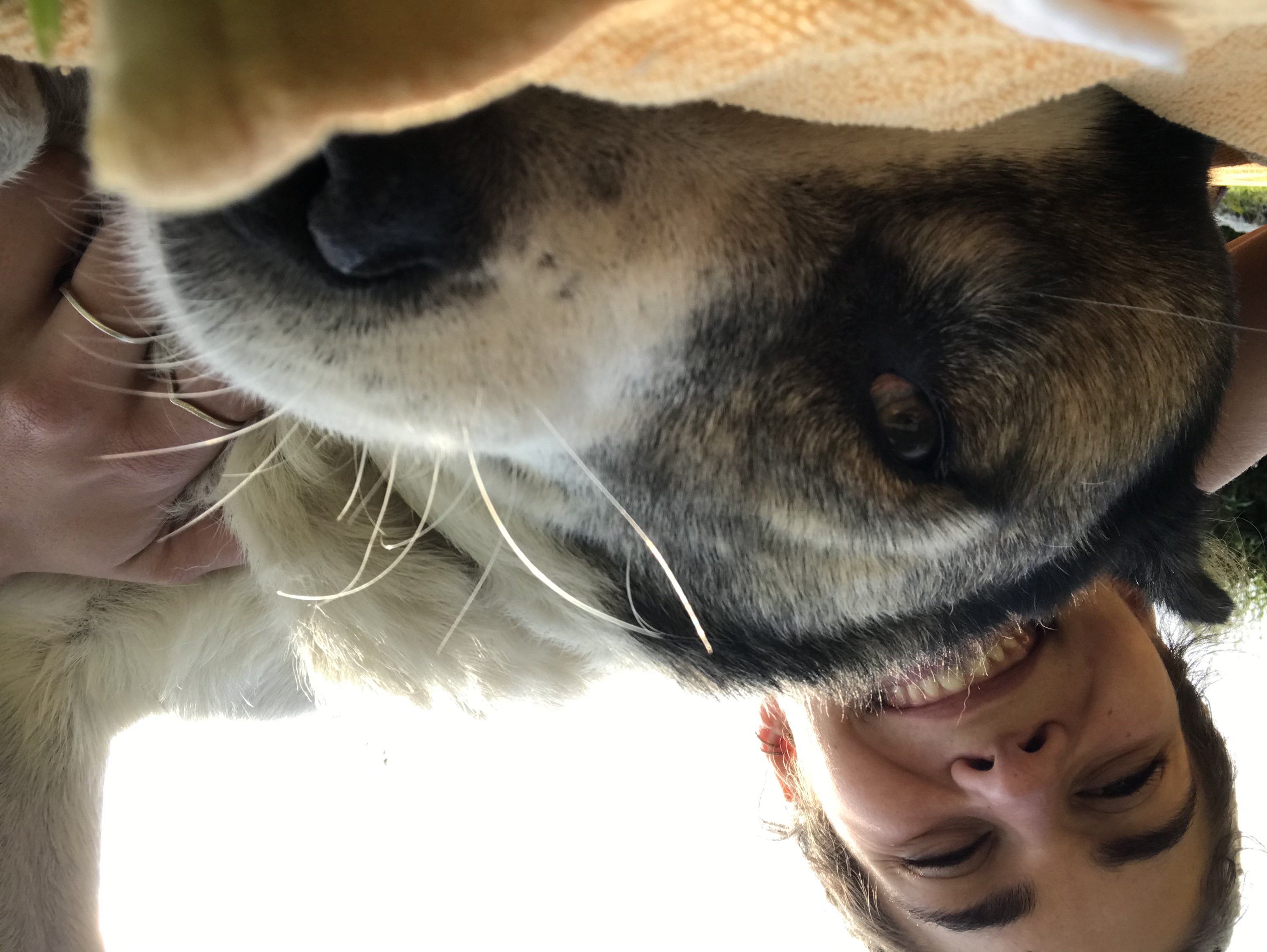 image-8
