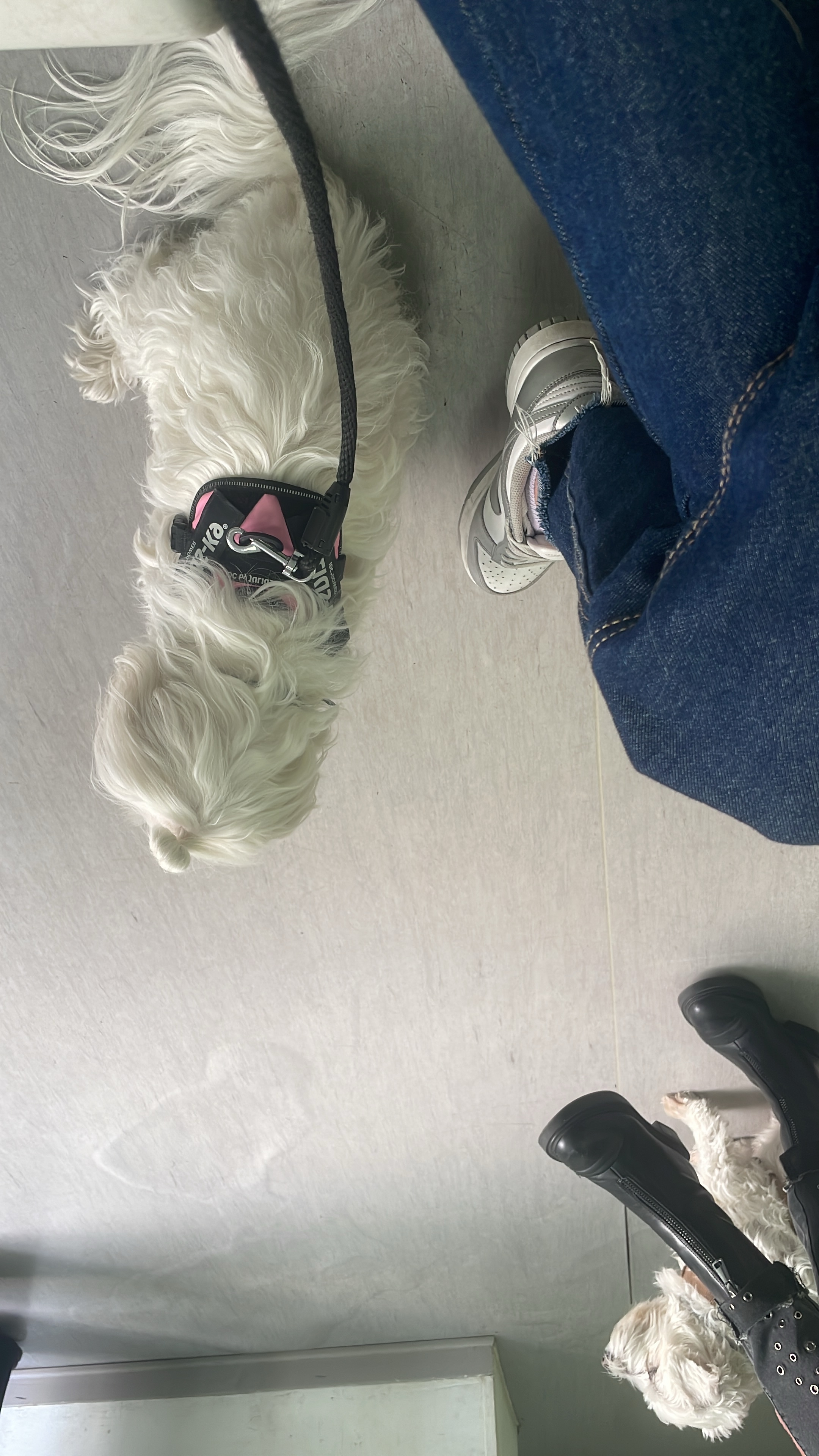 image-5