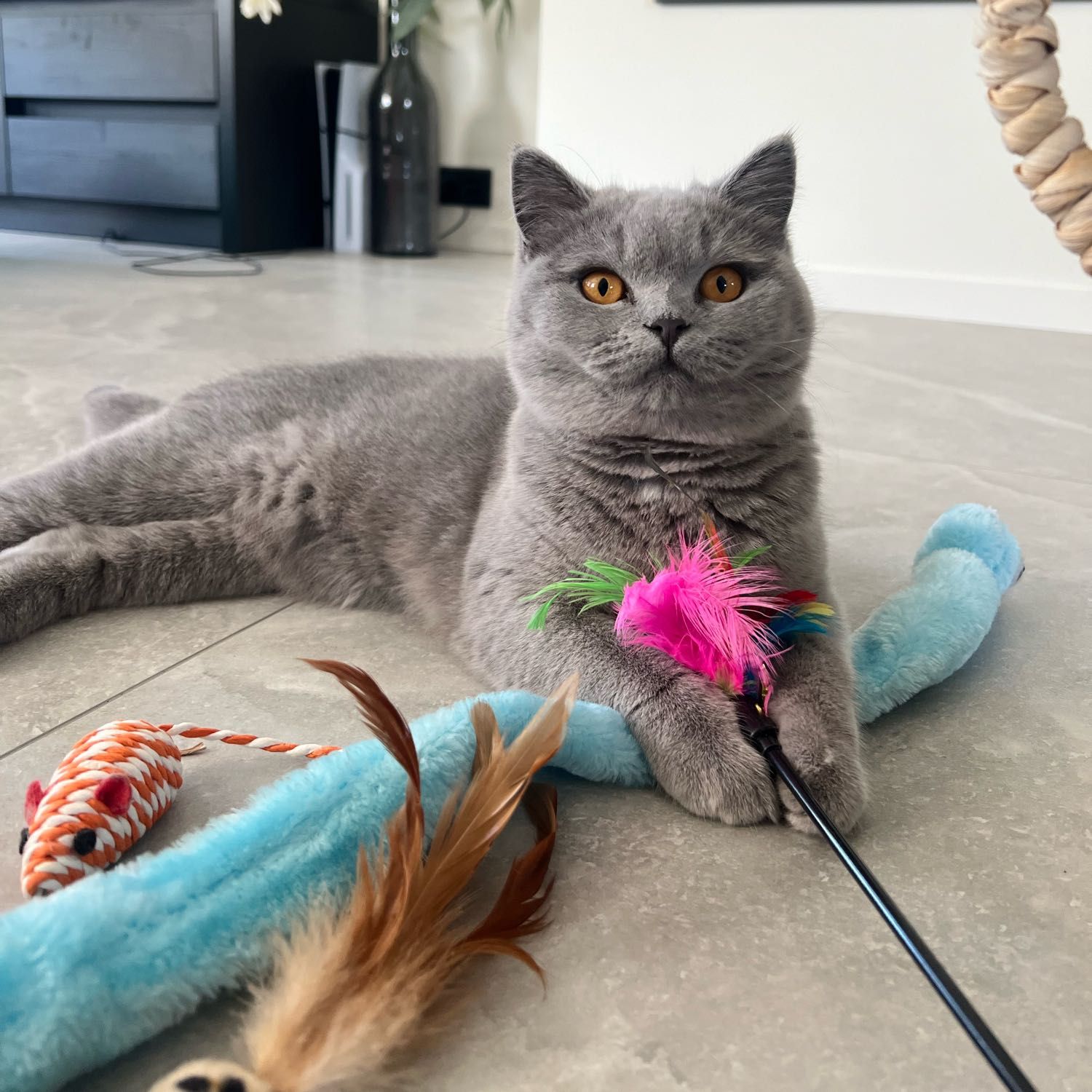 coco