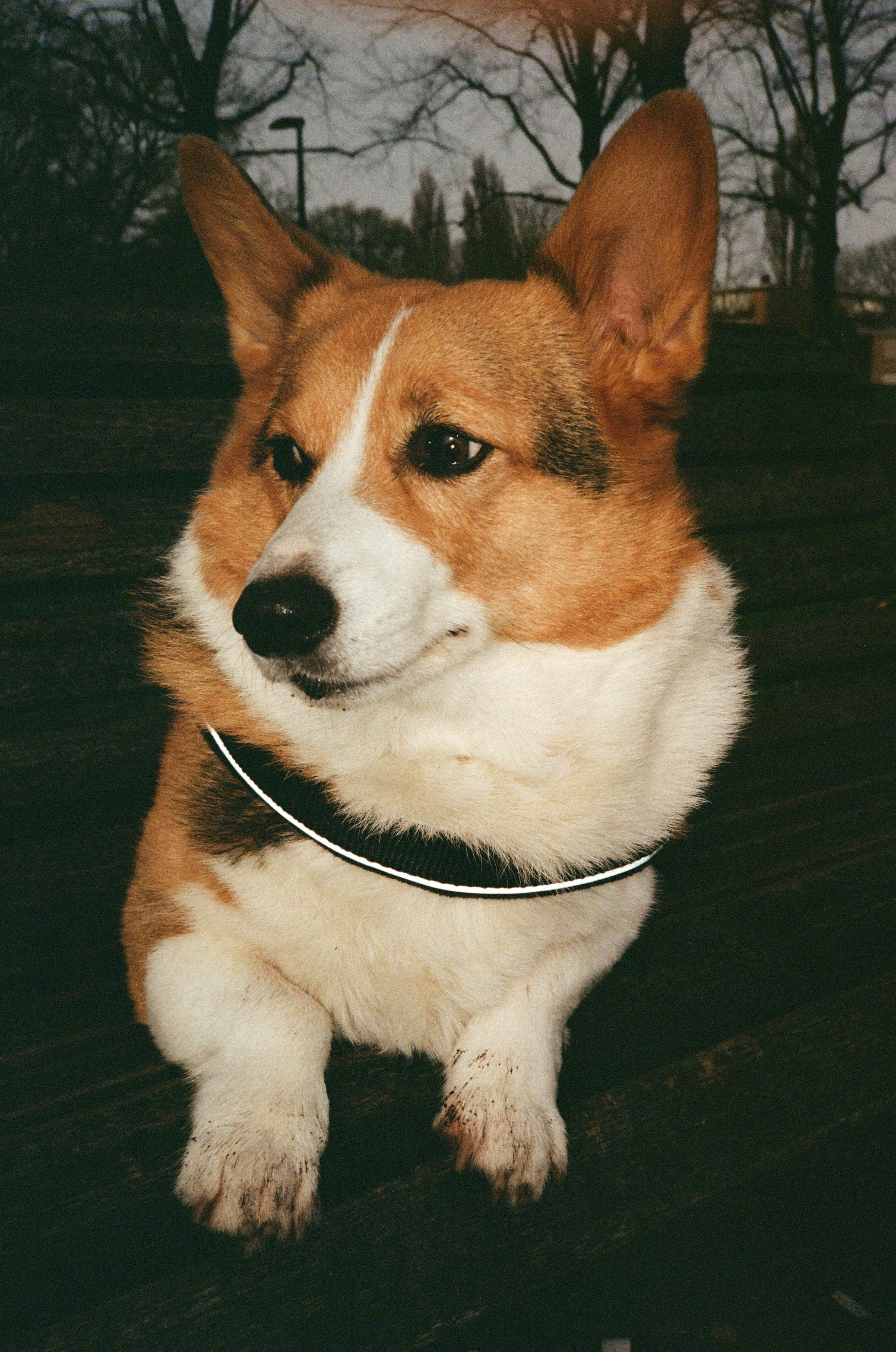 image-6