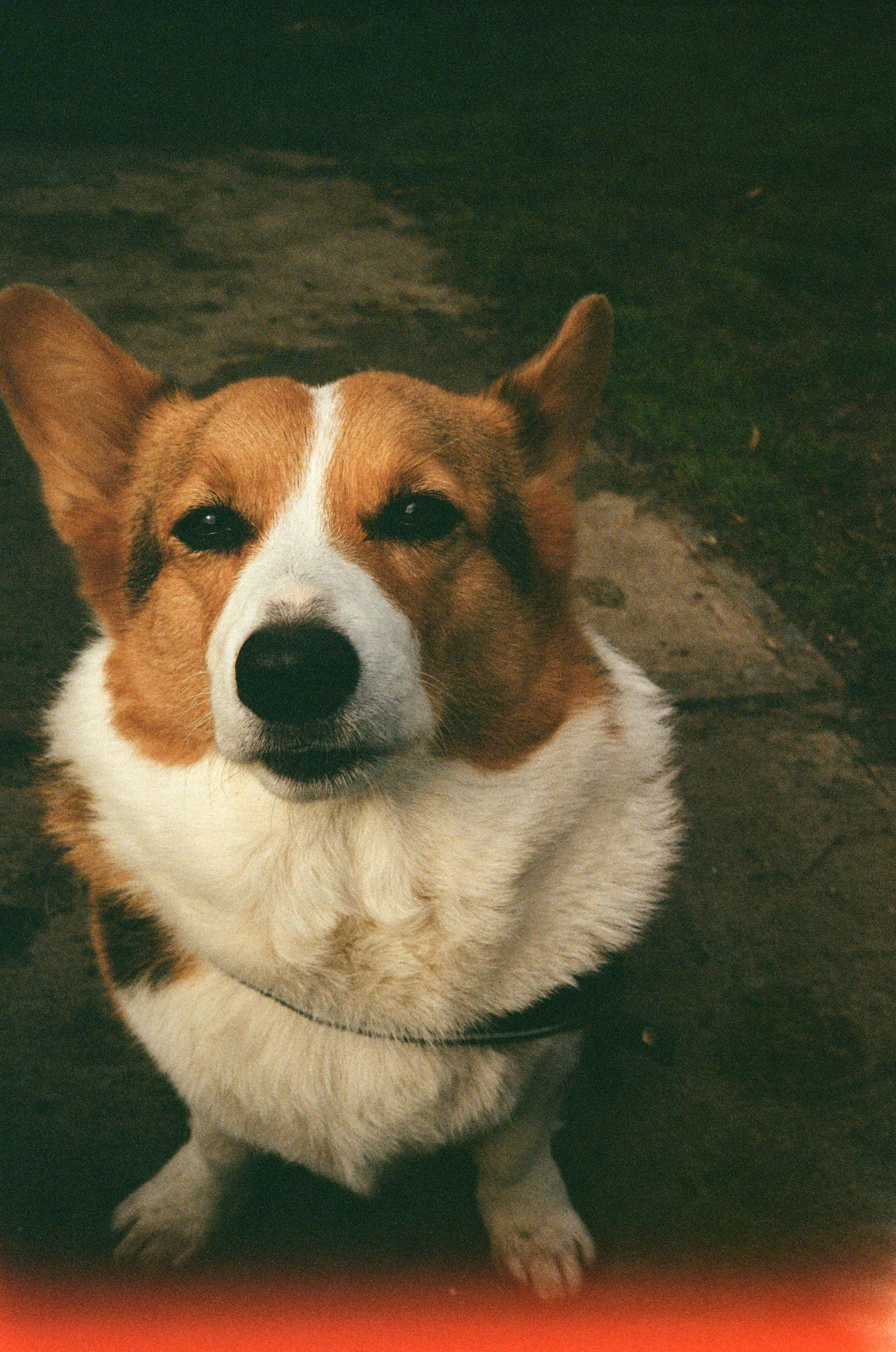 image-5