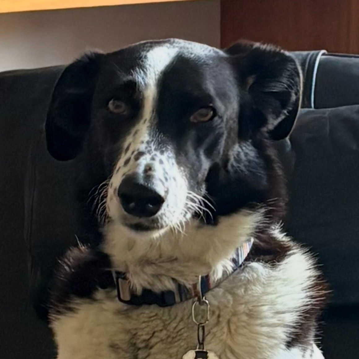 katie