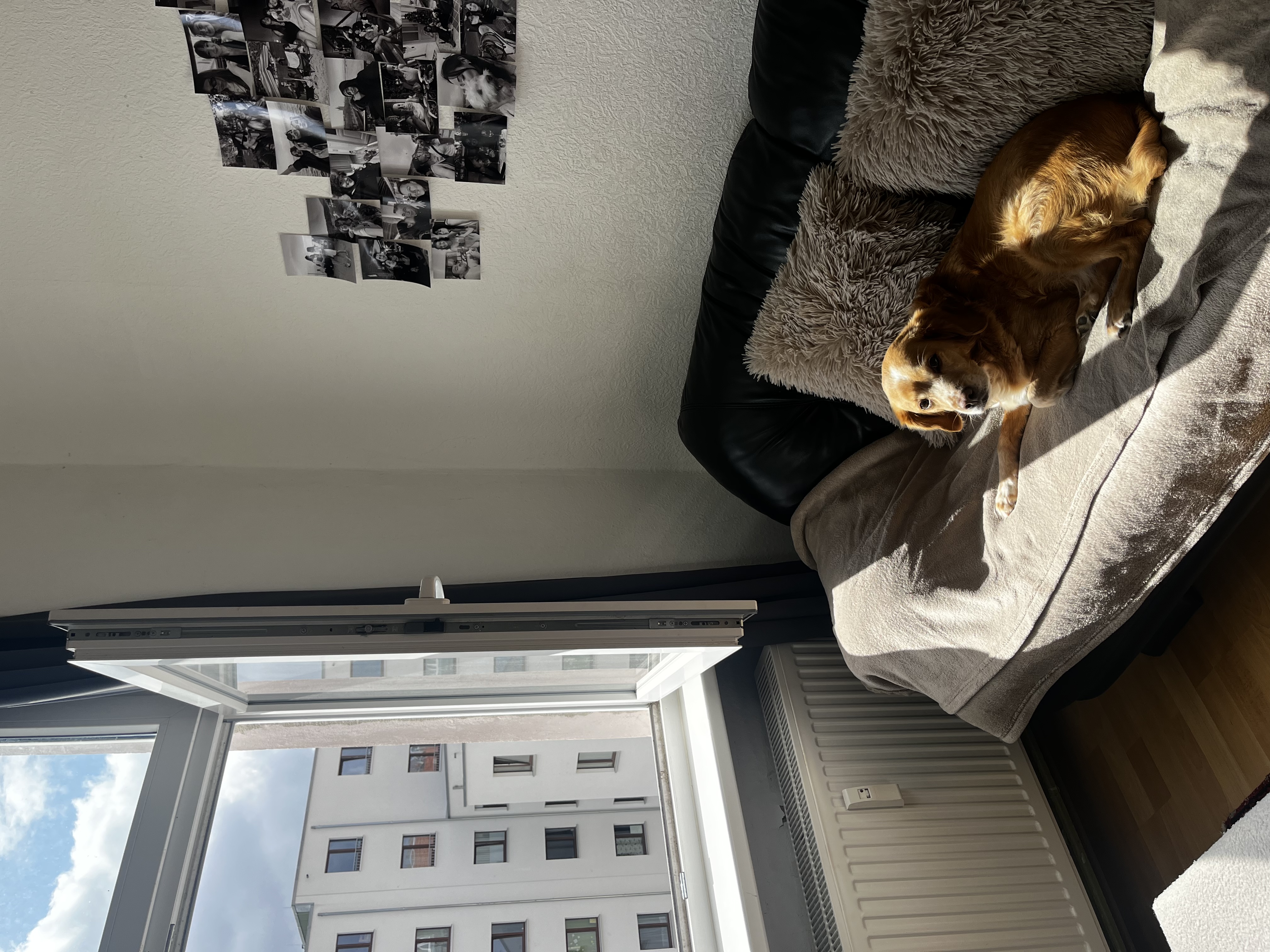 image-8