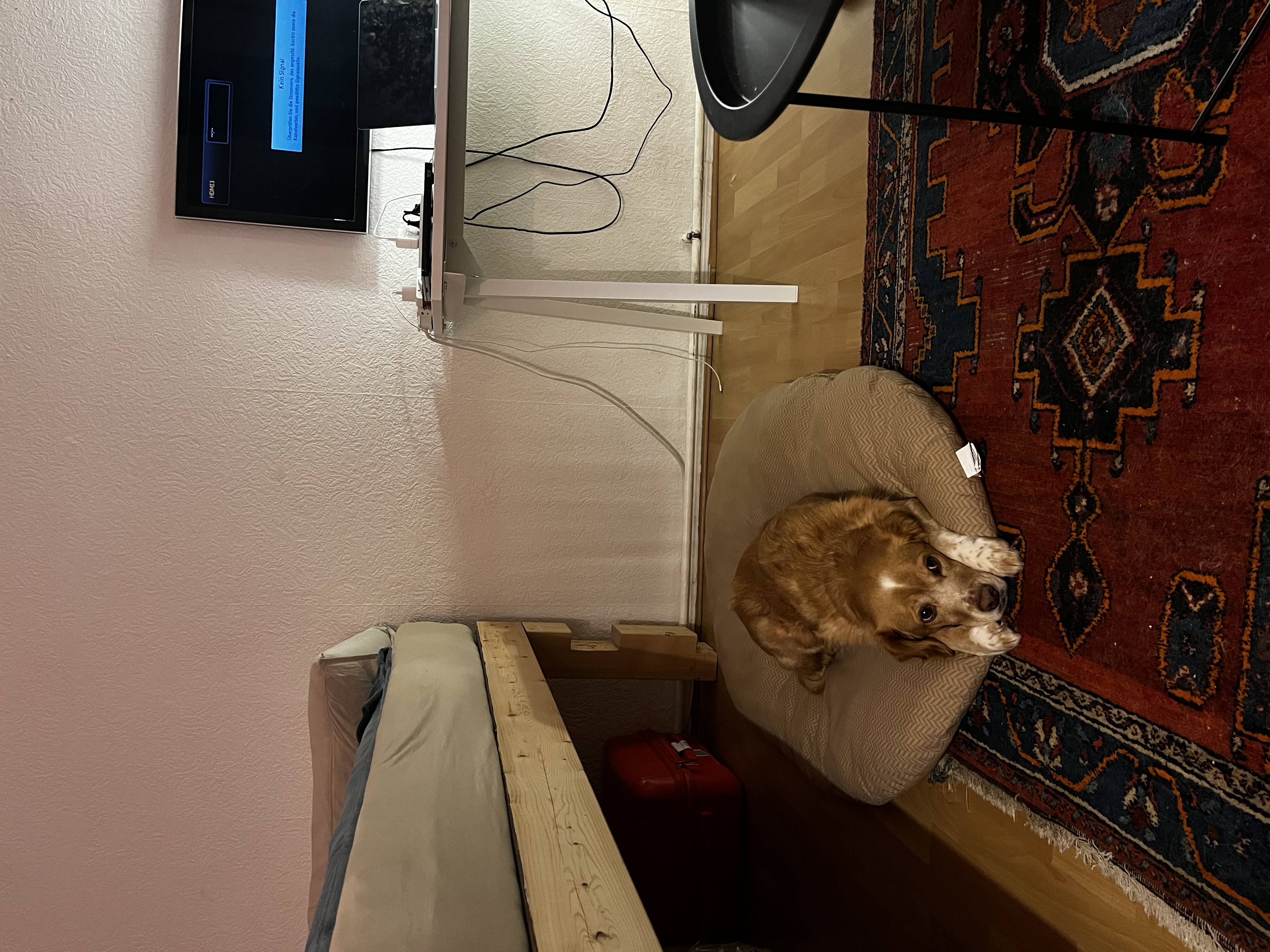 image-7