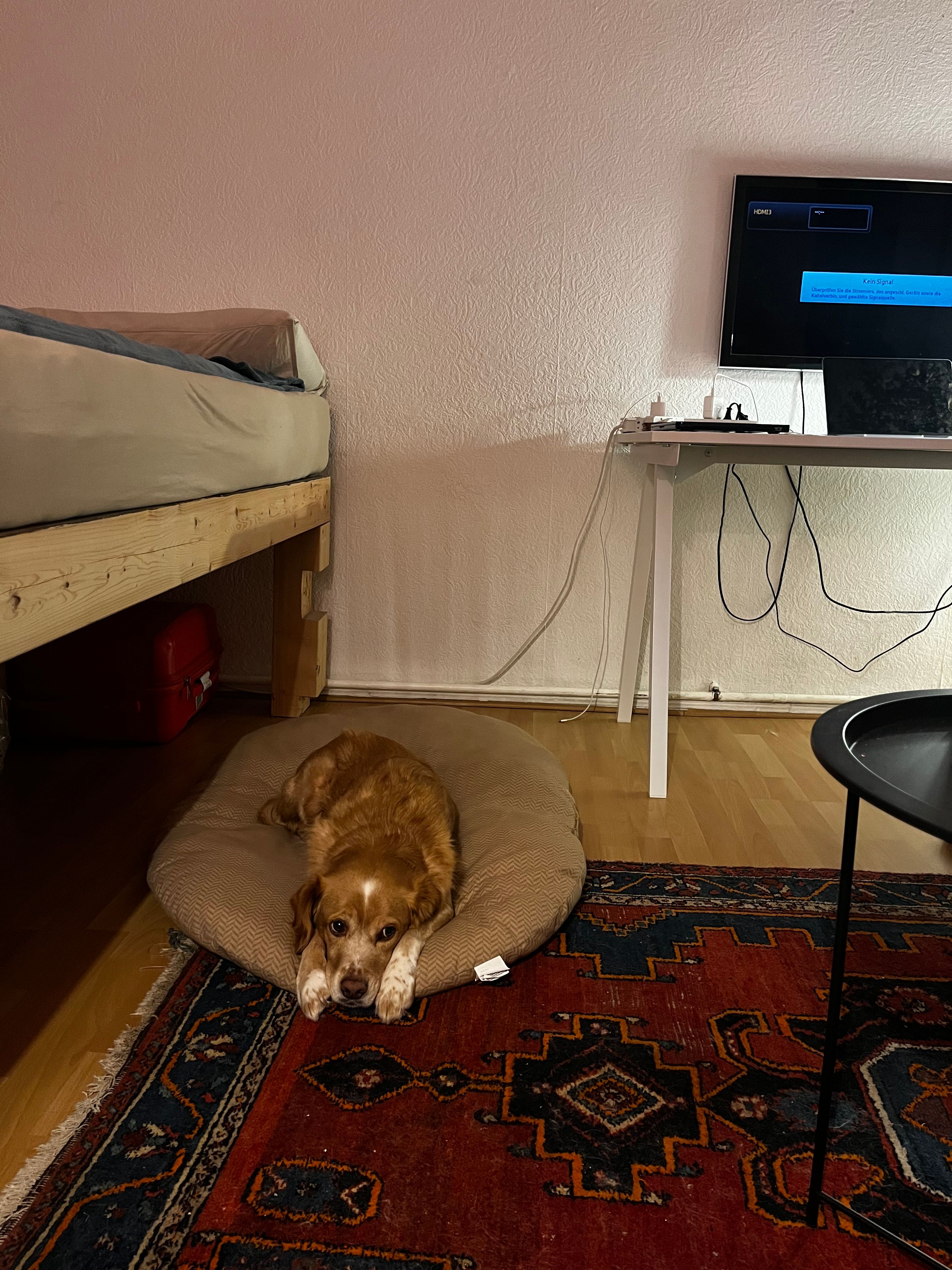image-7