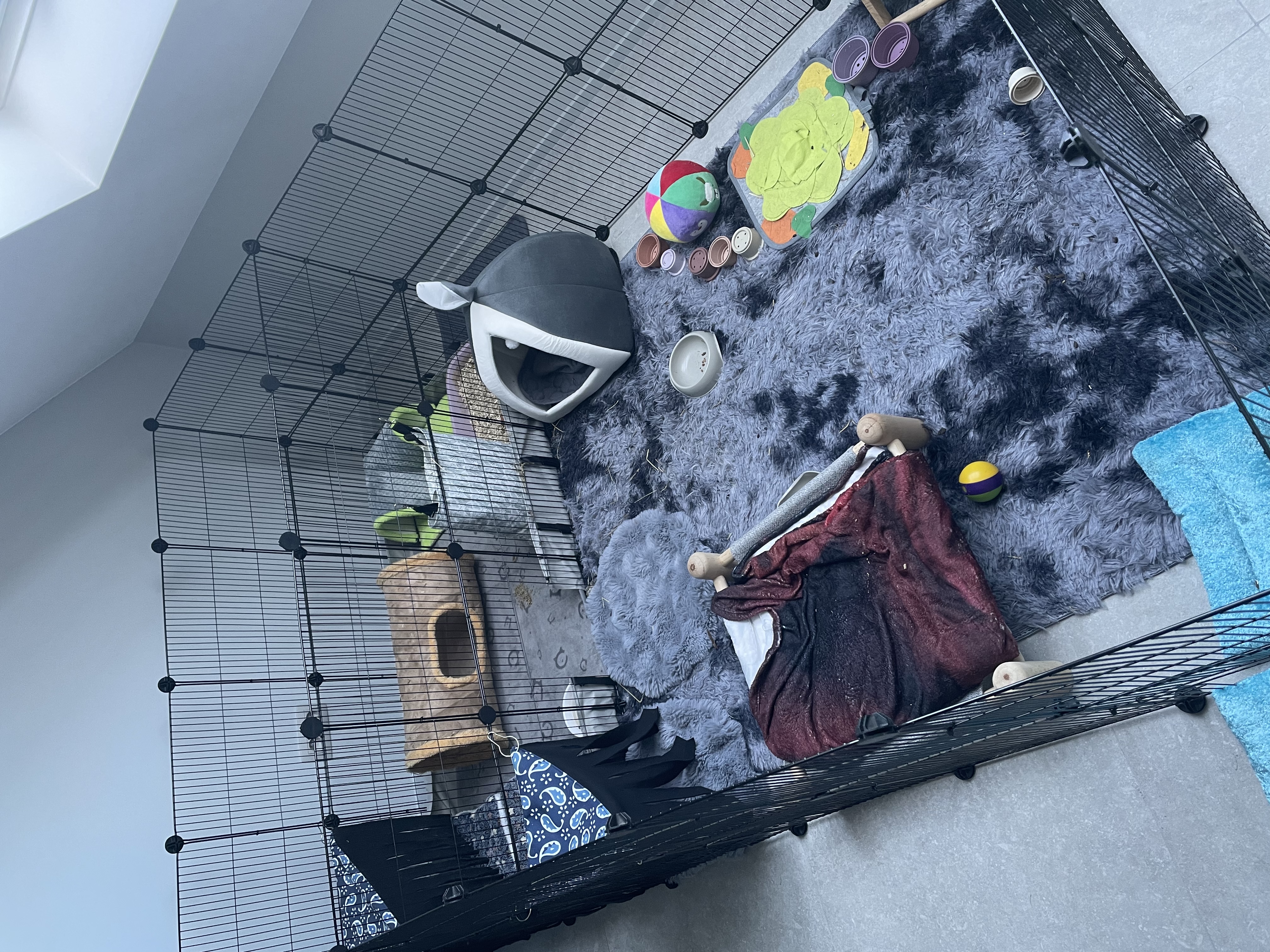 image-4