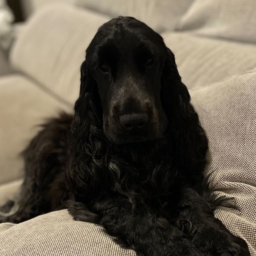 Lorenzo